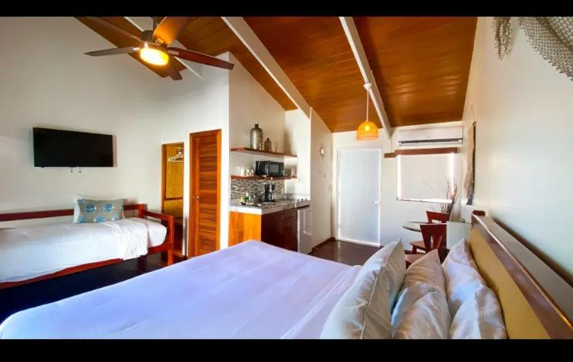 Photo of the whole room, Bed in Mata Rocks Resort