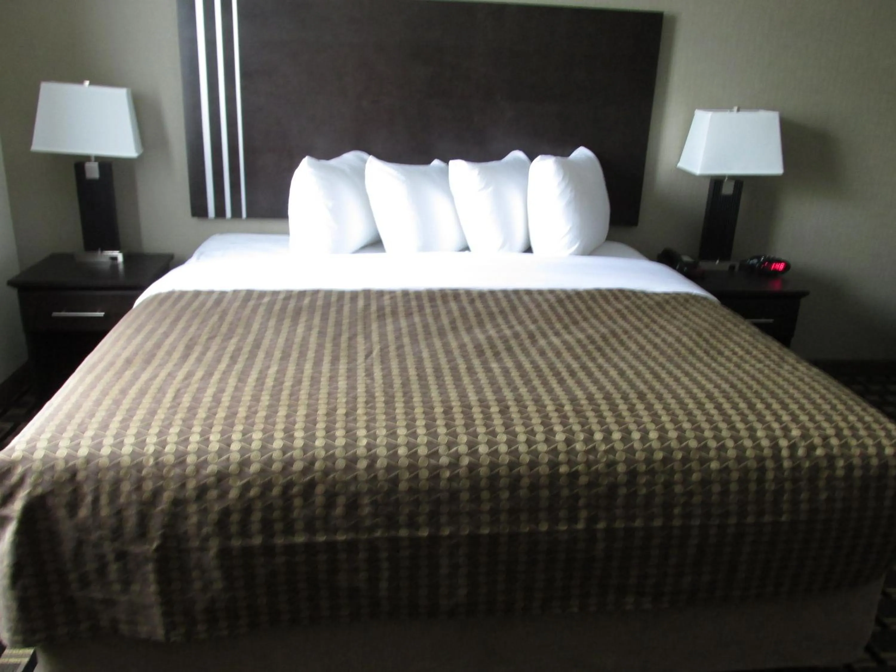 Bed in Sigma Inn & Suites