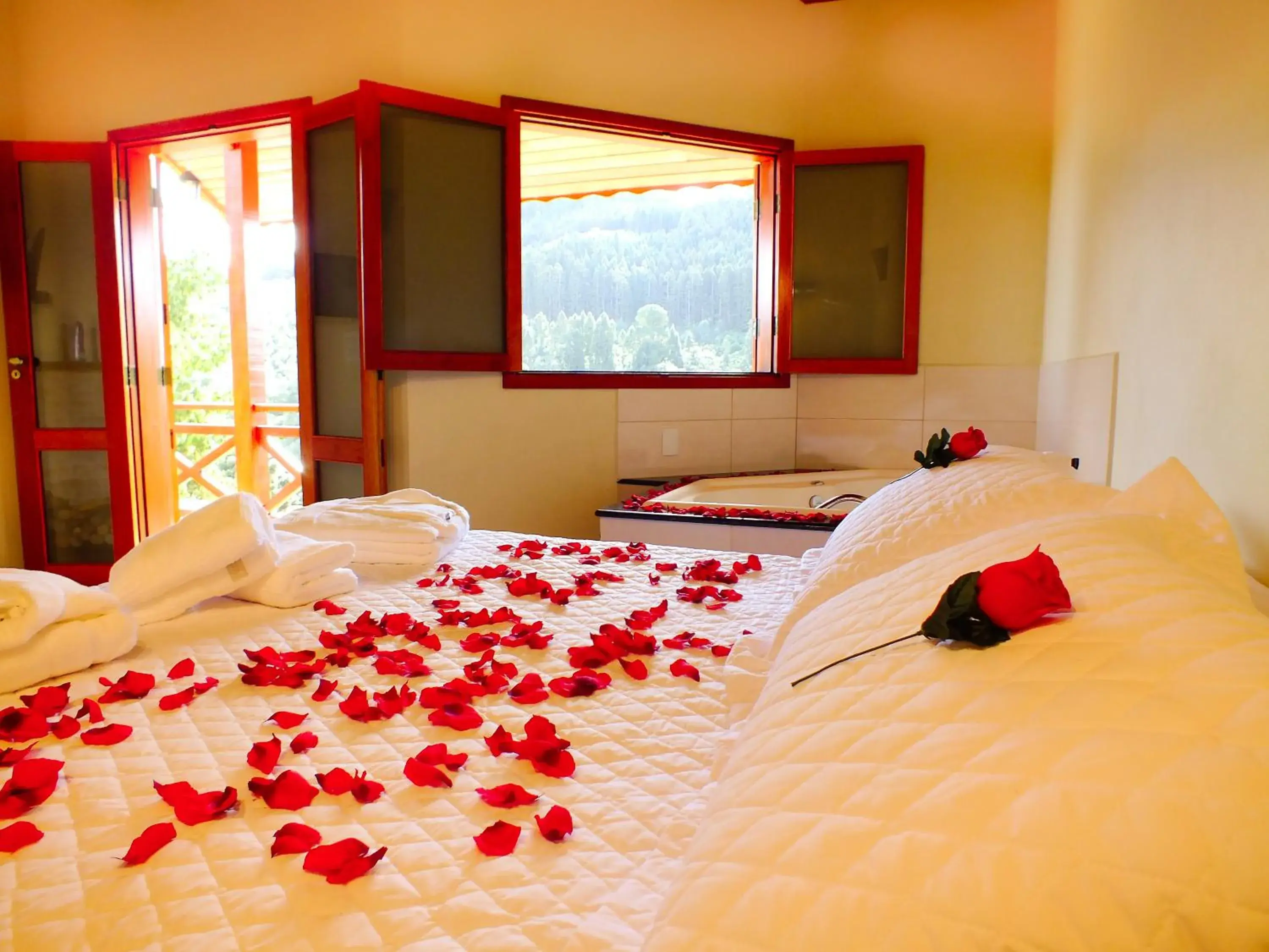 Double Room with Spa Bath in Pousada Vista da Serra Monte Verde Double Room with Spa Bath in Pousada Vista da Serra Monte Verde