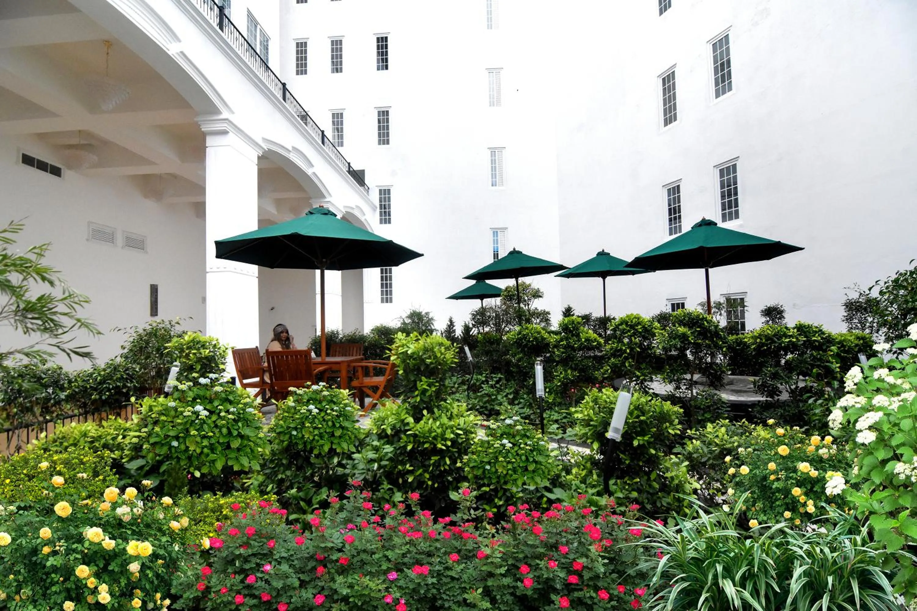 Garden in Araliya Red - Budget friendly Hotel- Where you find stunning 360 panoramic view of Nuwara Eliya