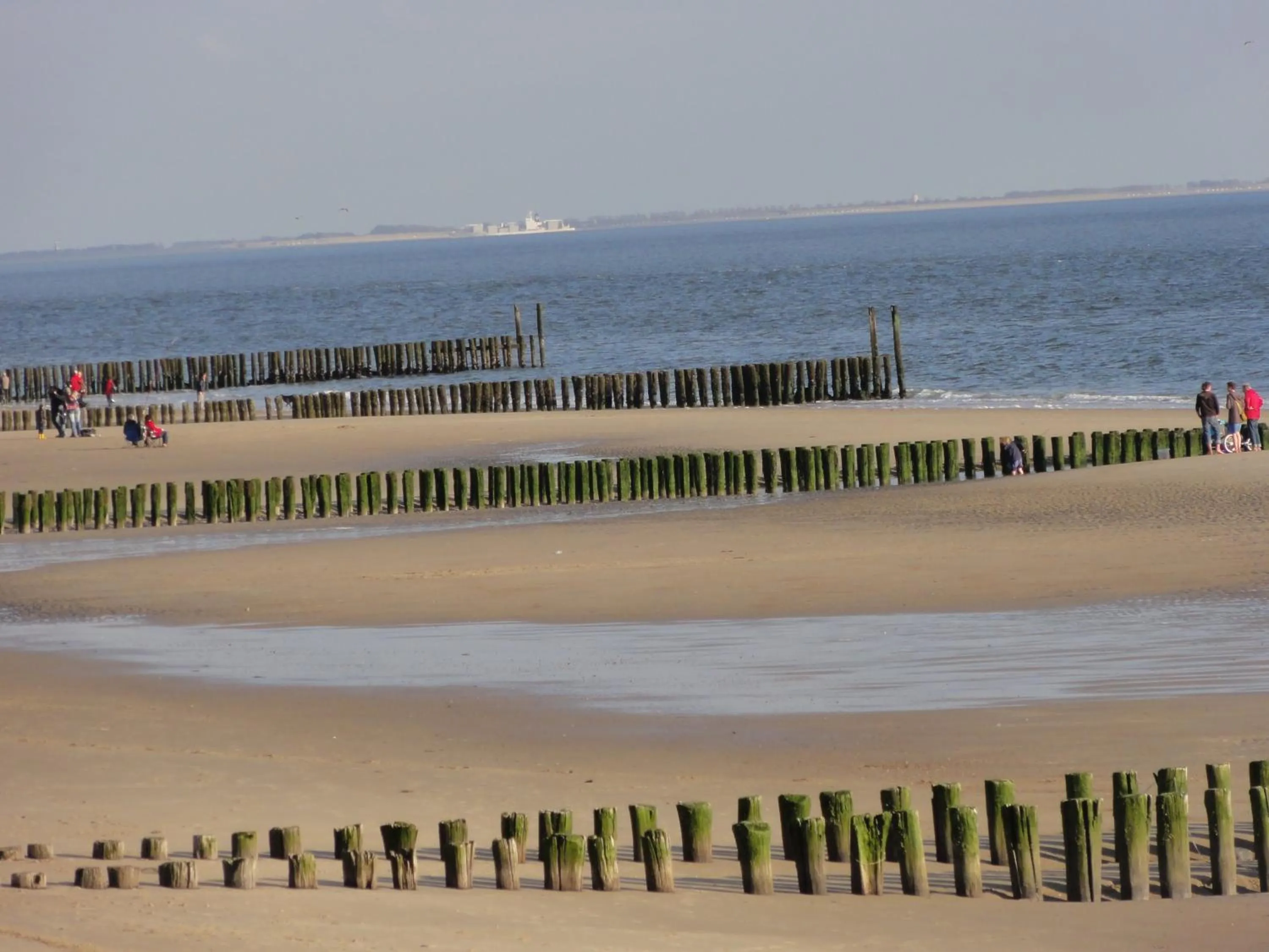Beach in bed bij zee