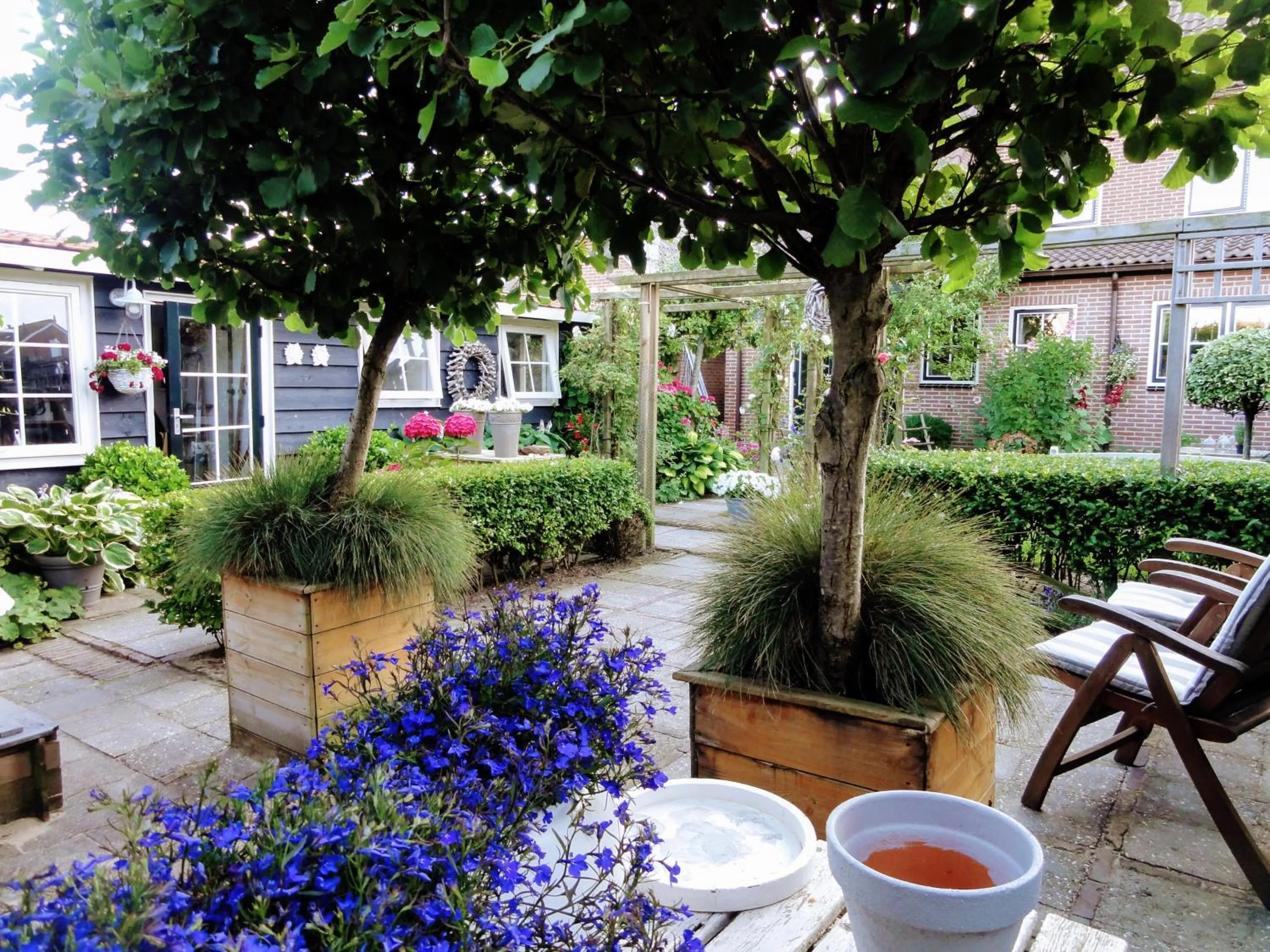 Garden in bed bij zee