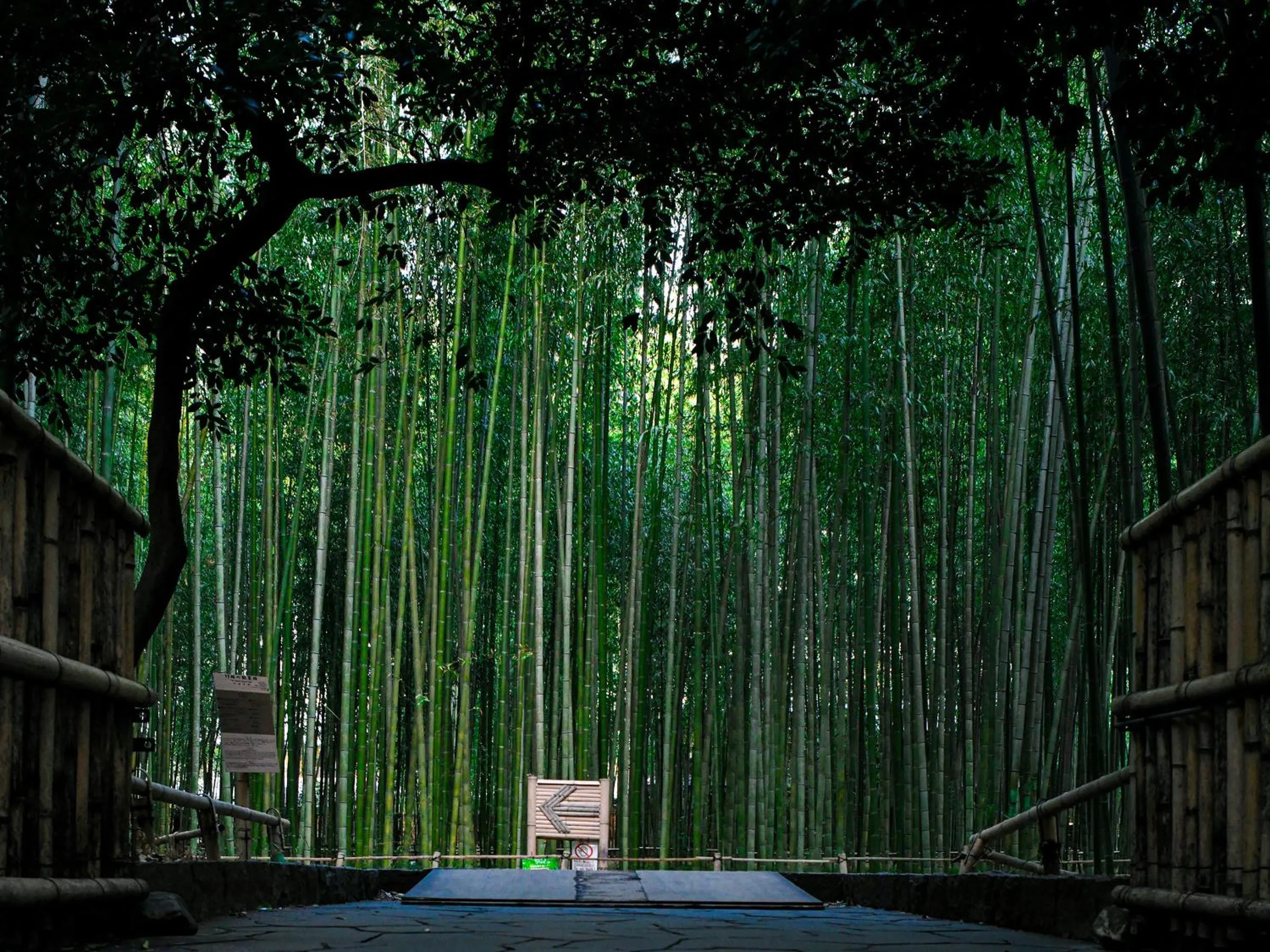 Nearby landmark in REF Kyoto Hachijoguchi by VESSEL HOTELS