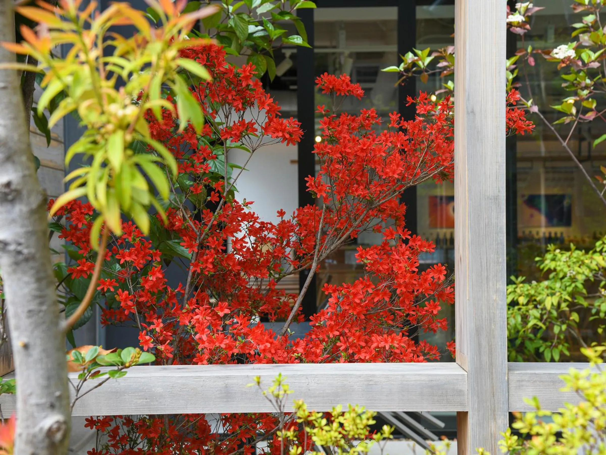 Balcony/Terrace in REF Kyoto Hachijoguchi by VESSEL HOTELS