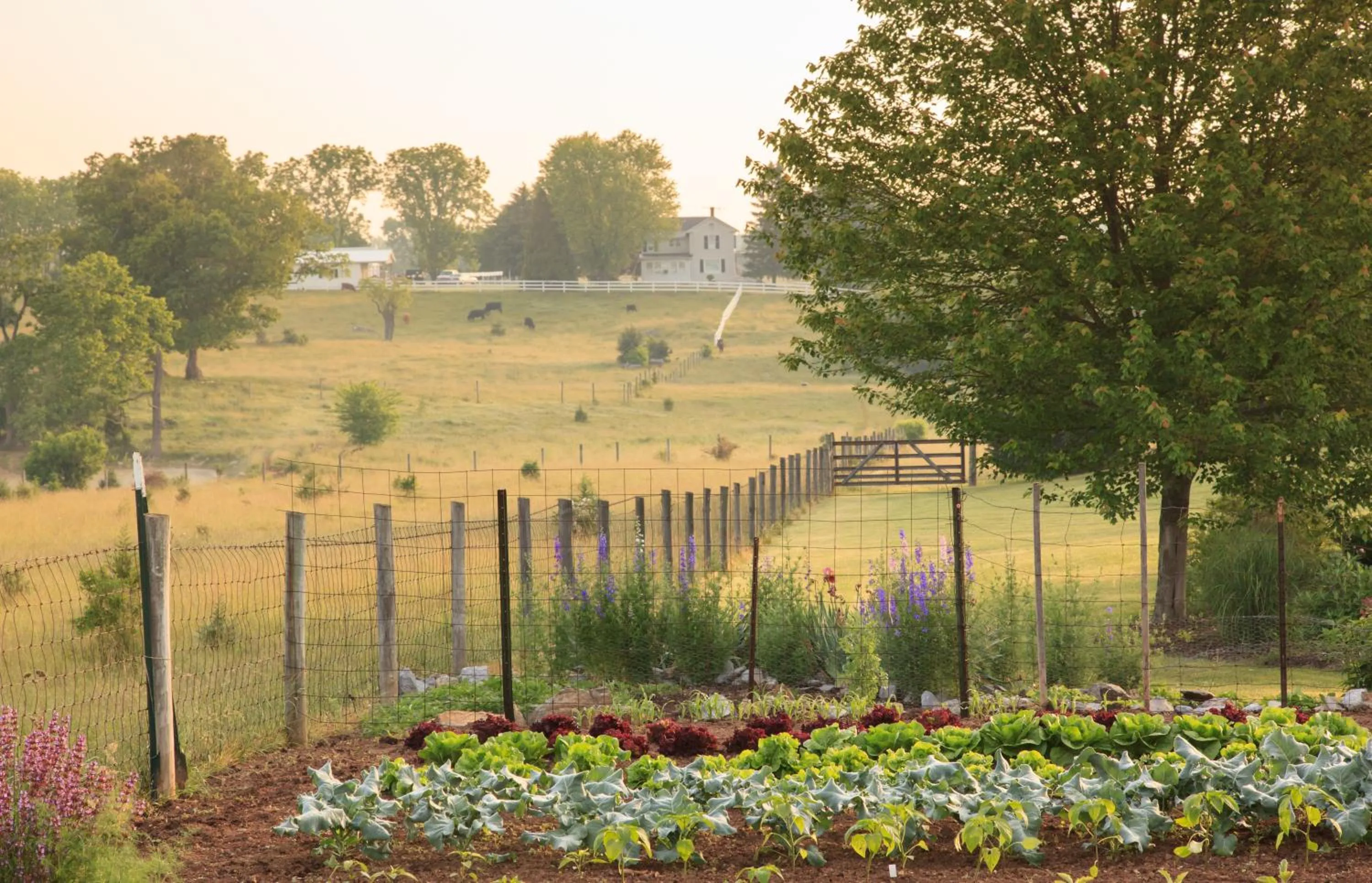 Garden in L'Auberge Provencale Inn & Restaurant