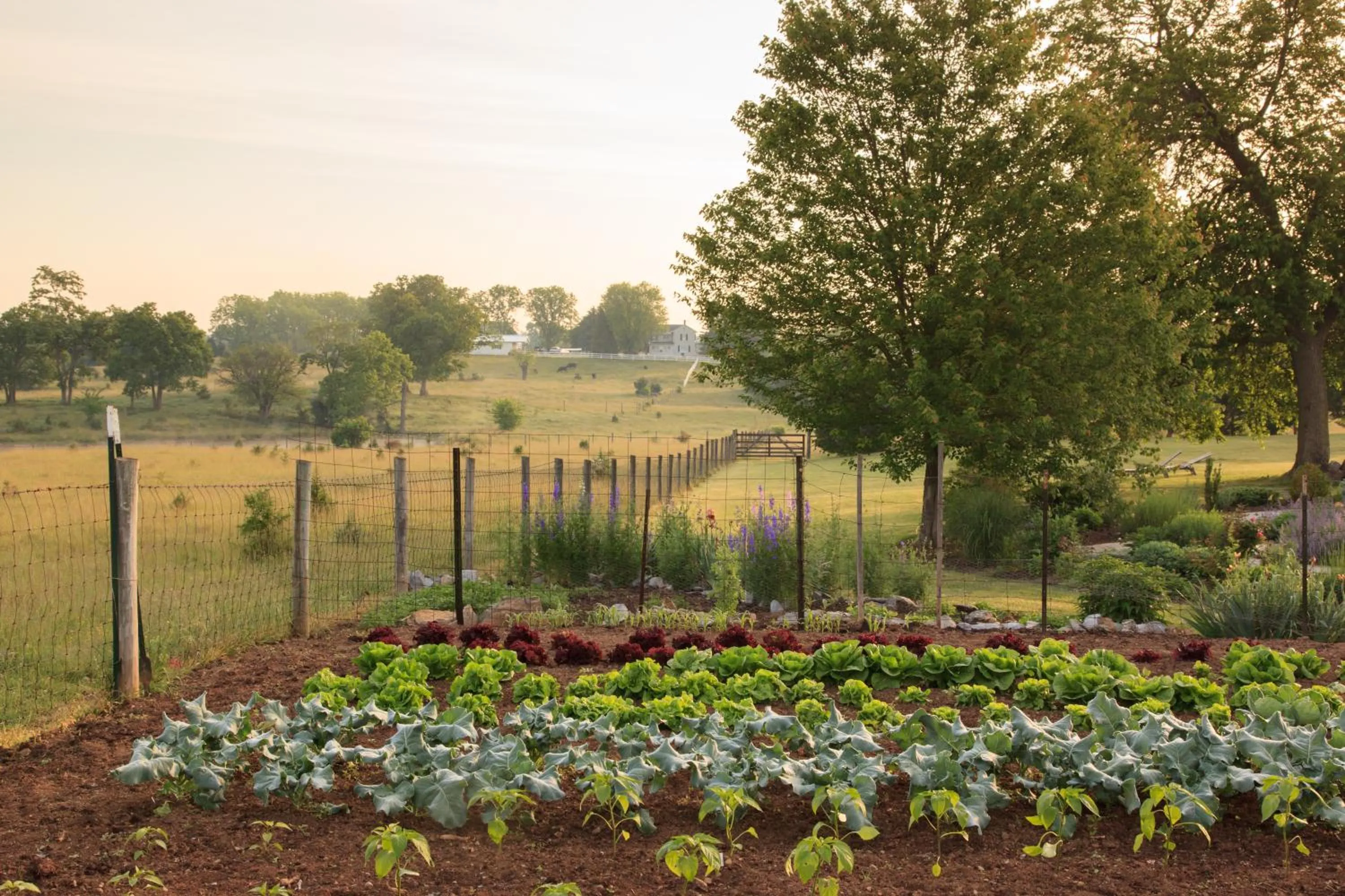 L'Auberge Provencale Inn & Restaurant