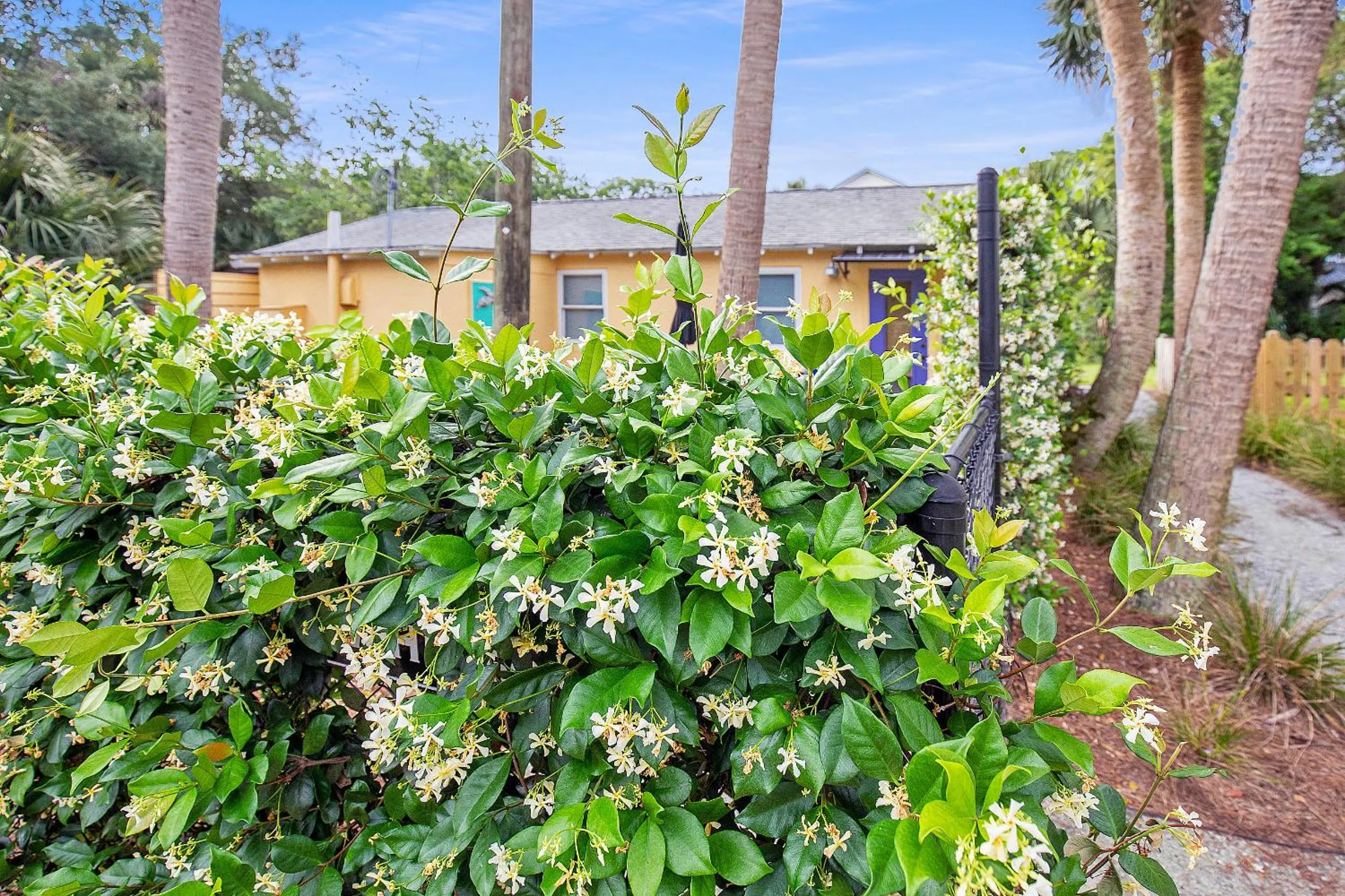 Folly Vacation Laid Back Casual Beach Bungalow 209-B