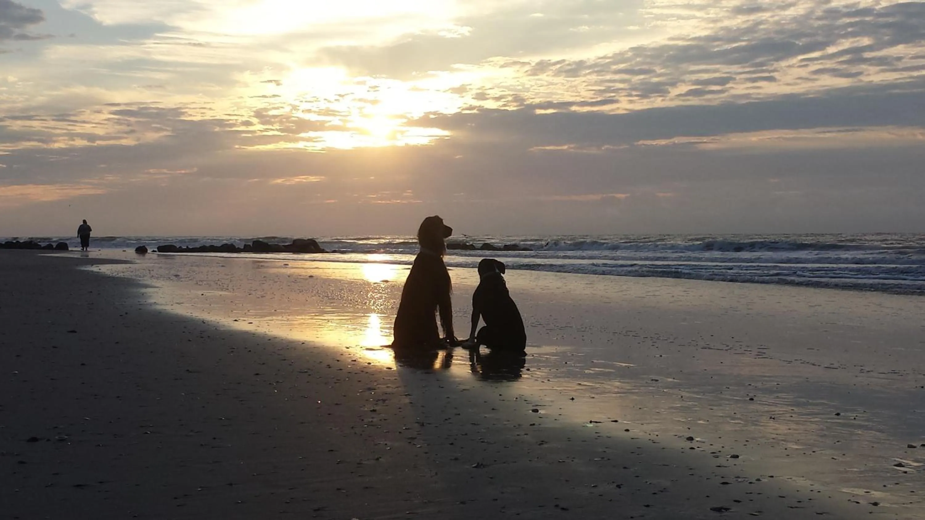 Folly Vacation 305 E Erie Fantastic Location