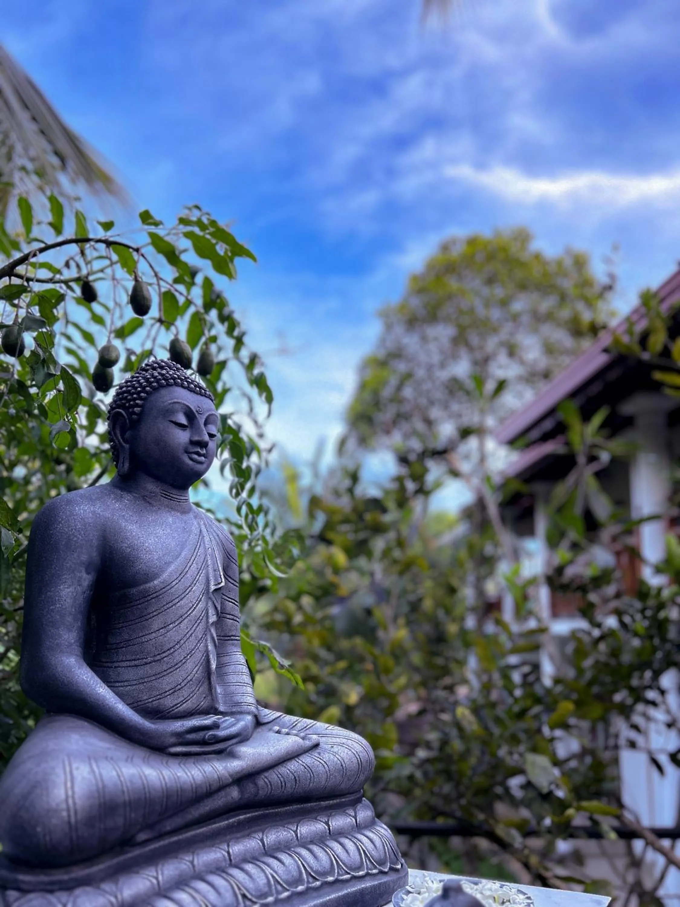 Property building in Terrace Garden Ayurveda Resort