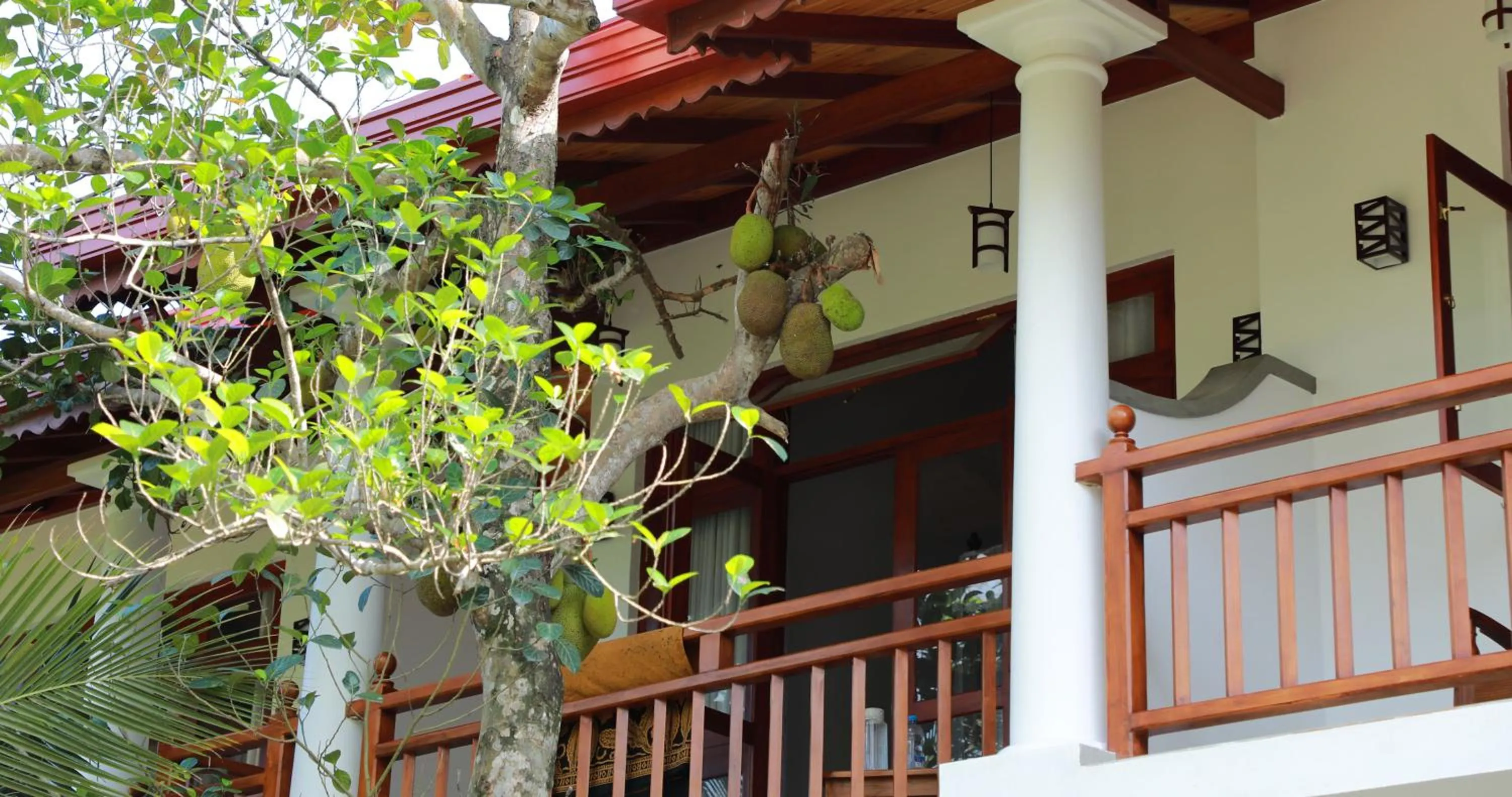 Balcony/Terrace in Terrace Garden Ayurveda Resort