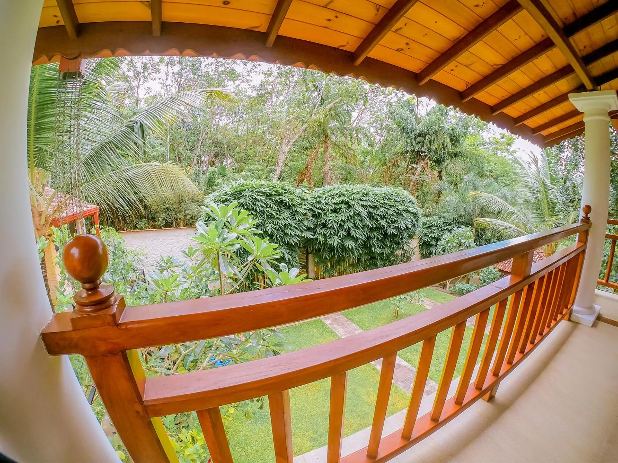 Balcony/Terrace in Terrace Garden Ayurveda Resort