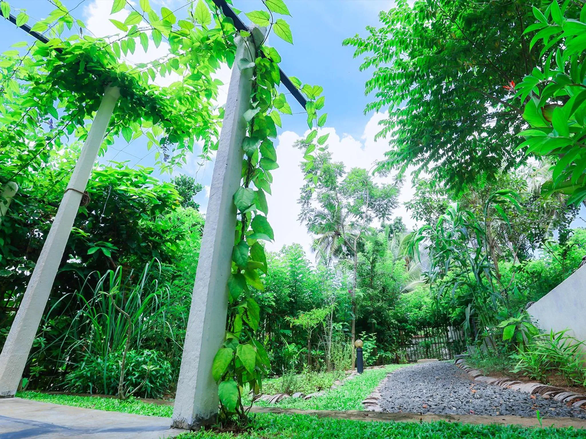 Natural landscape in Terrace Garden Ayurveda Resort