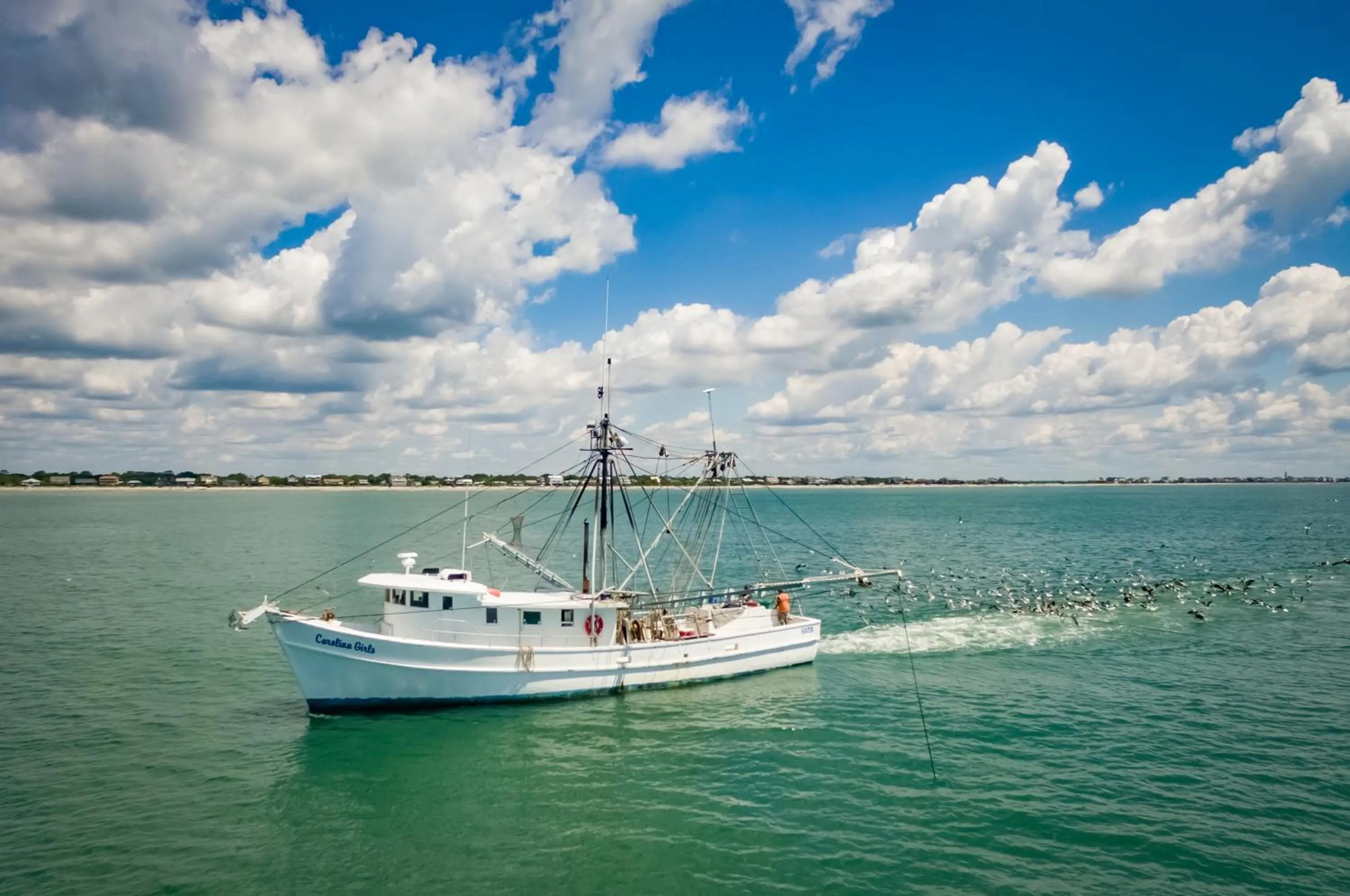 Folly Vacation Perfect Purple Palace Apt C