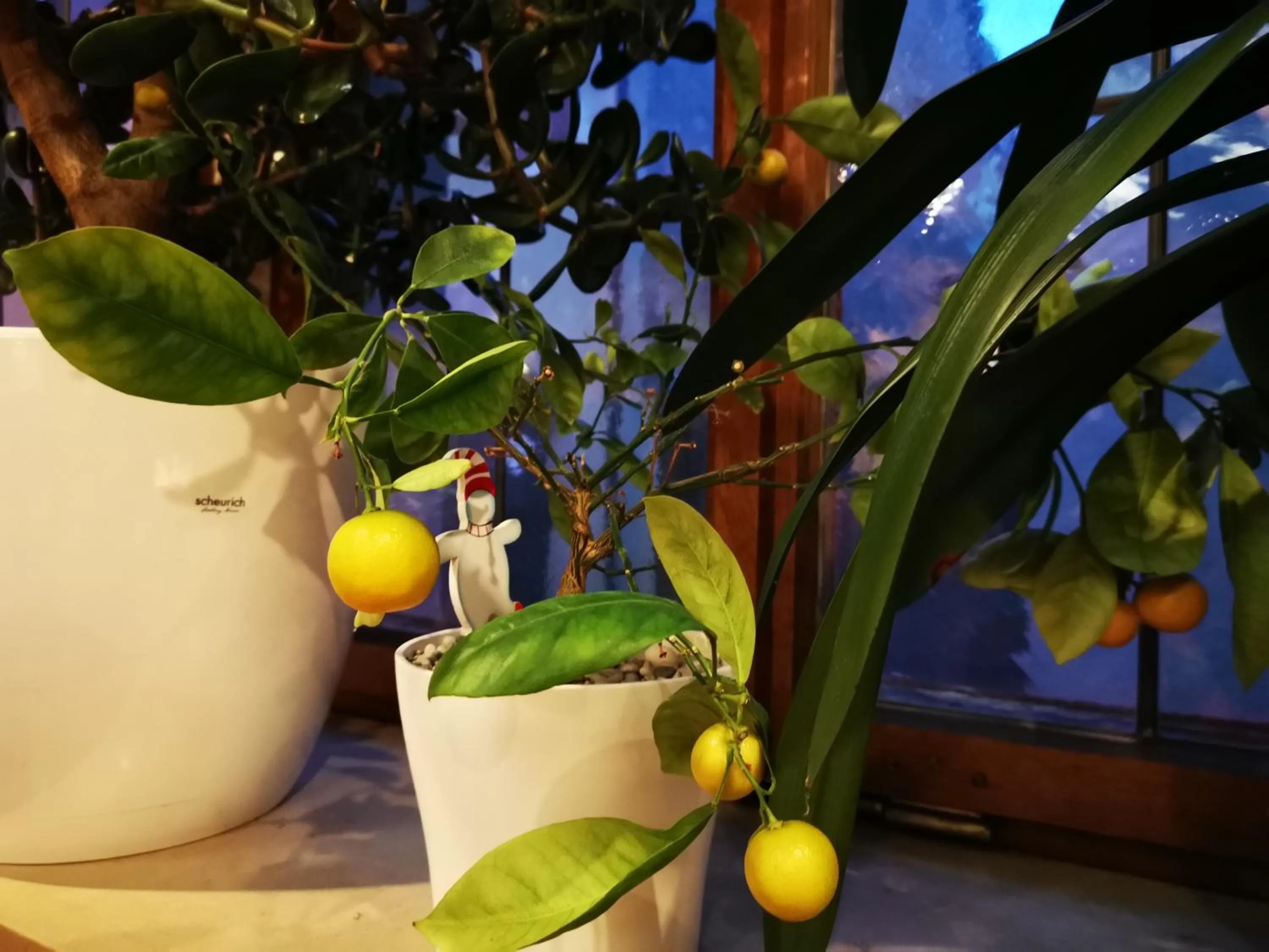 Restaurant/places to eat in China Restaurant Hotel Lotus