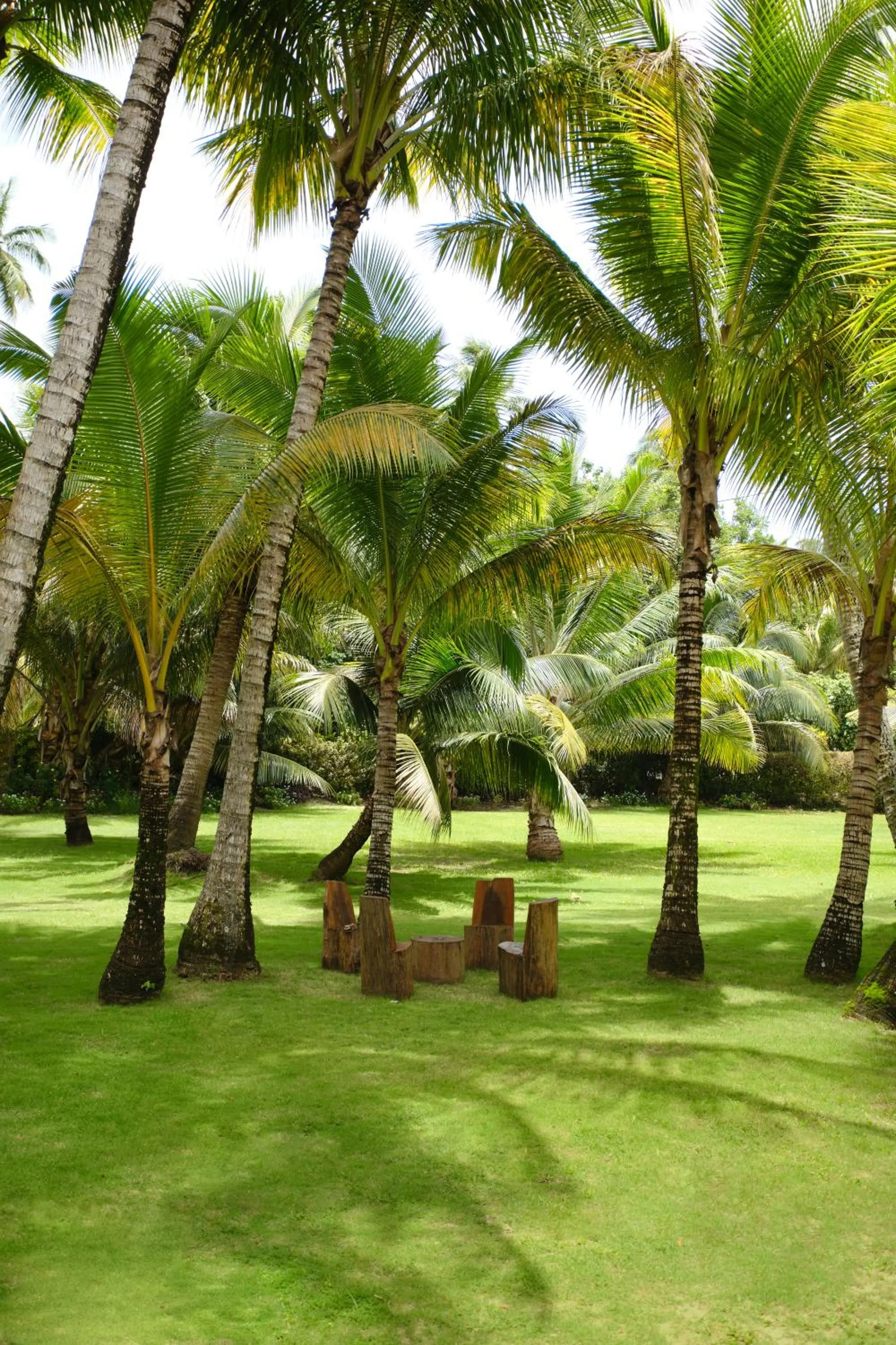 Garden in Le Taha'a by Pearl Resorts