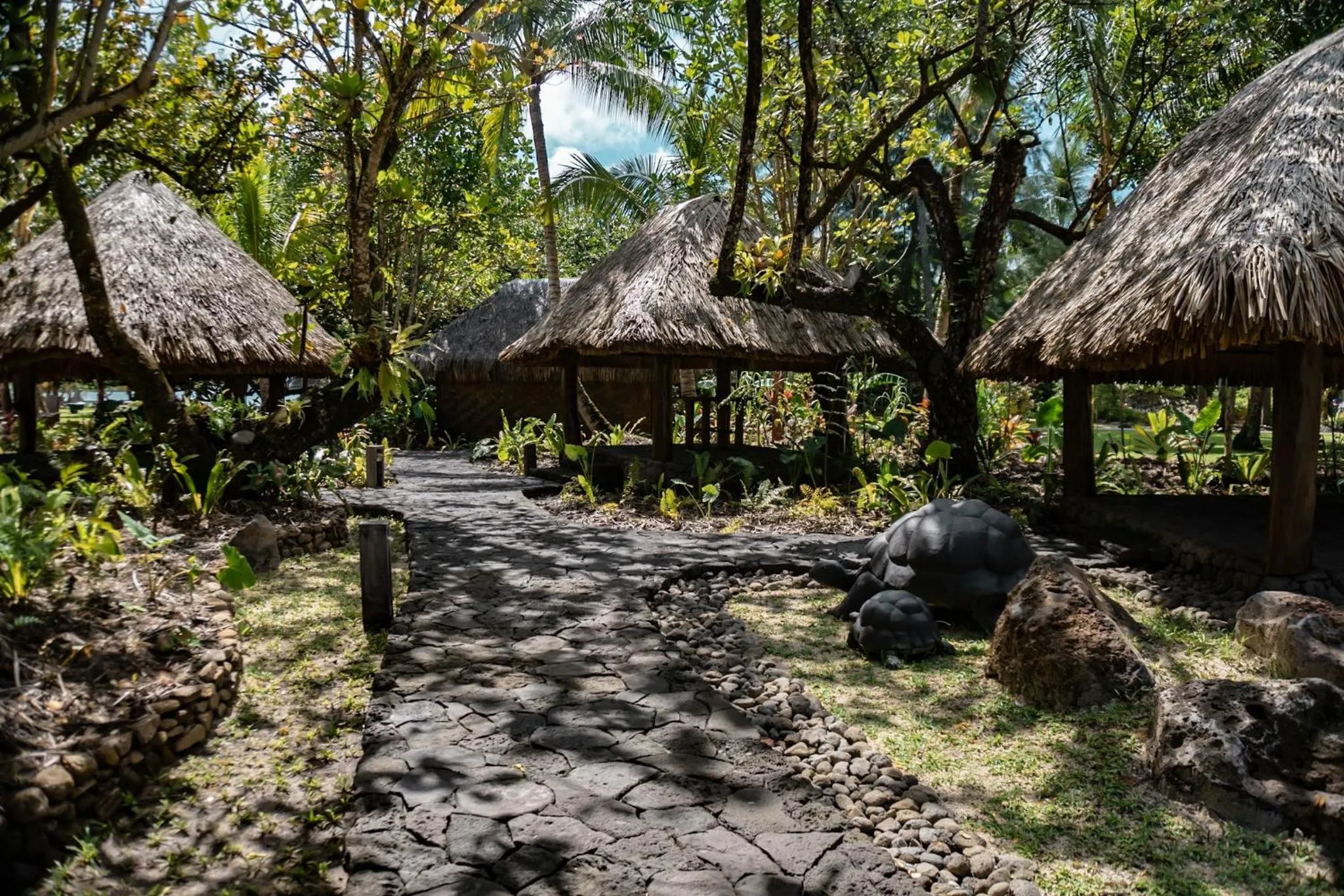 Activities in Le Taha'a by Pearl Resorts