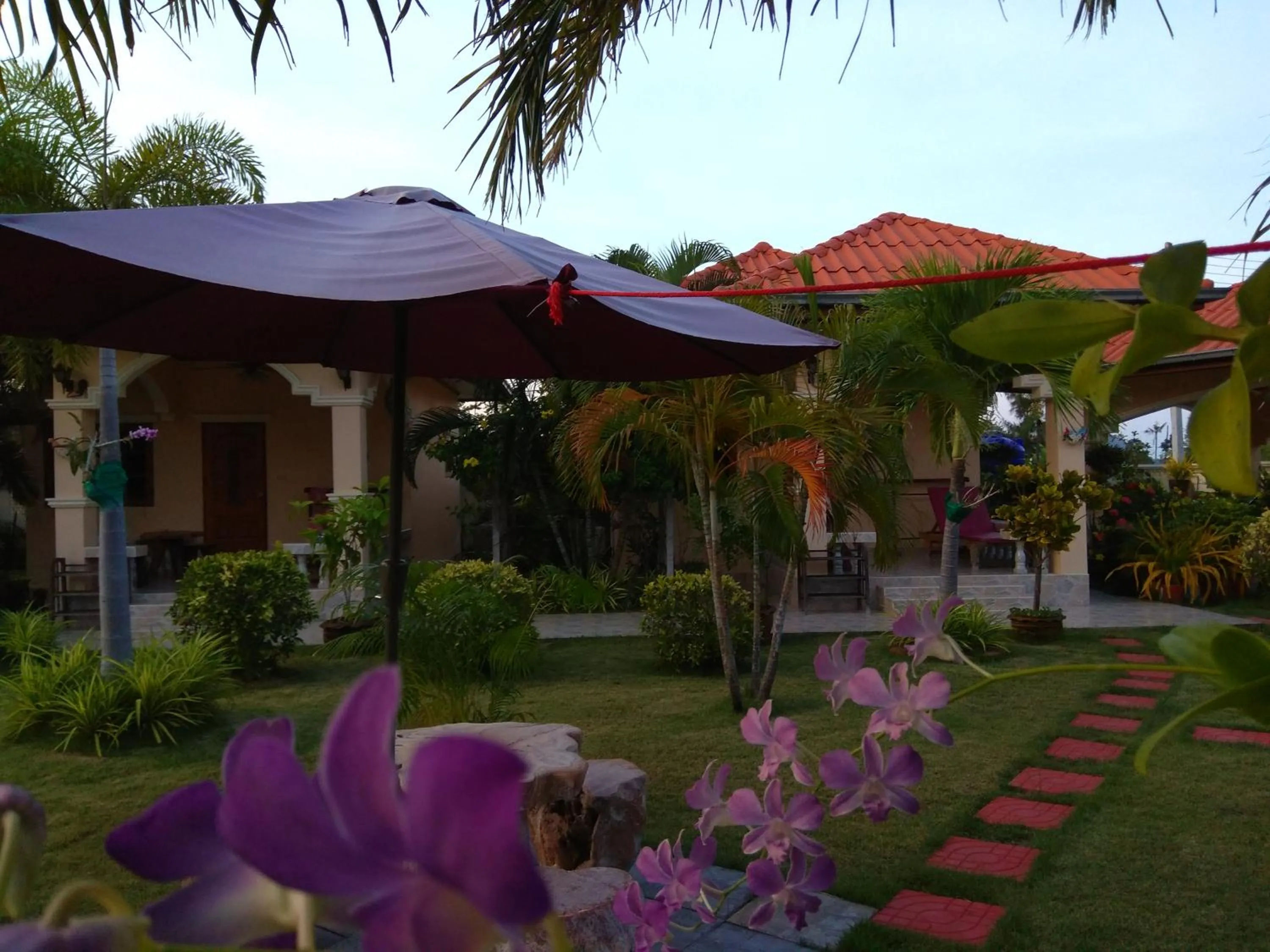 Natural landscape in Stella Resort