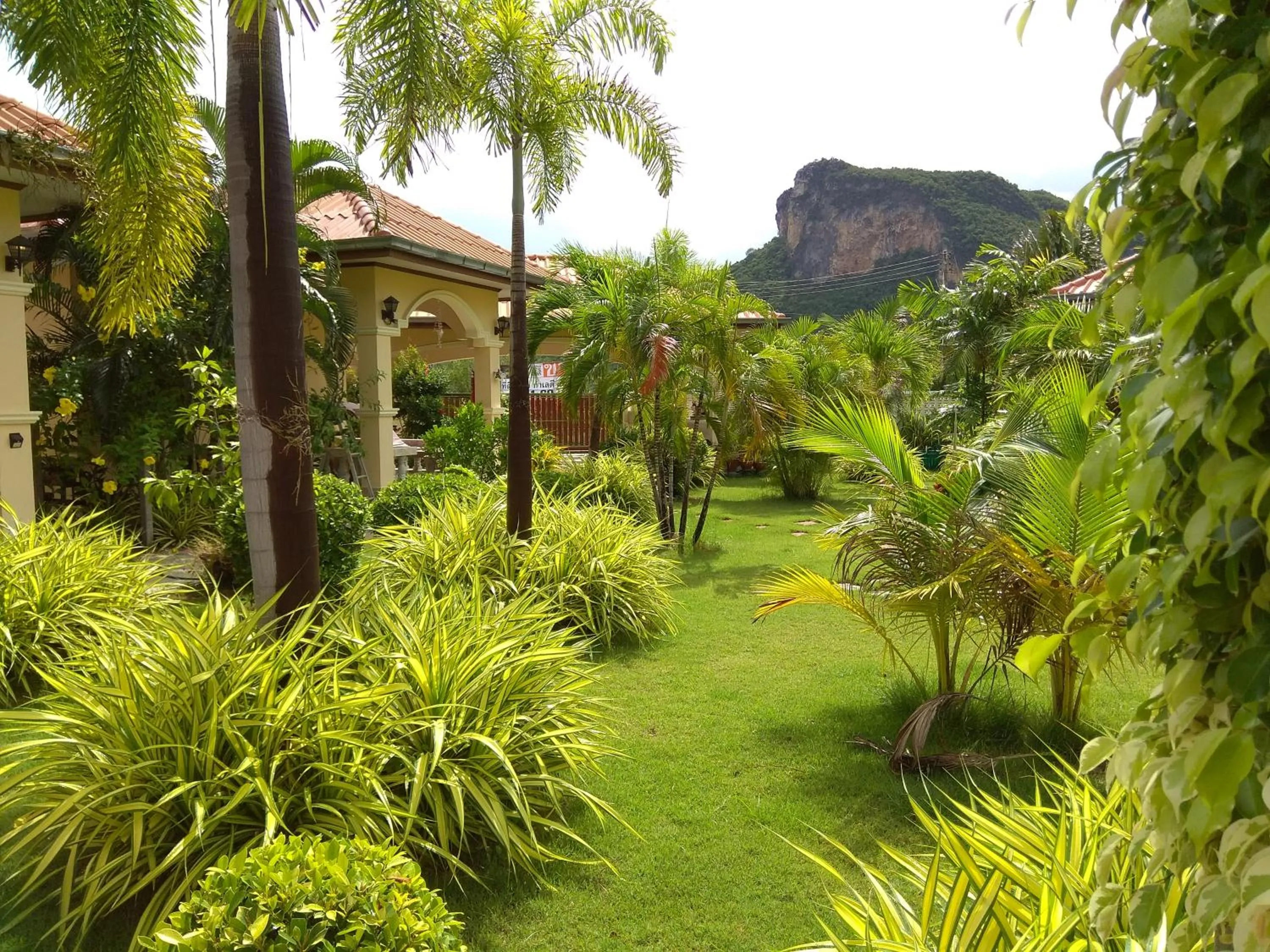Natural landscape in Stella Resort