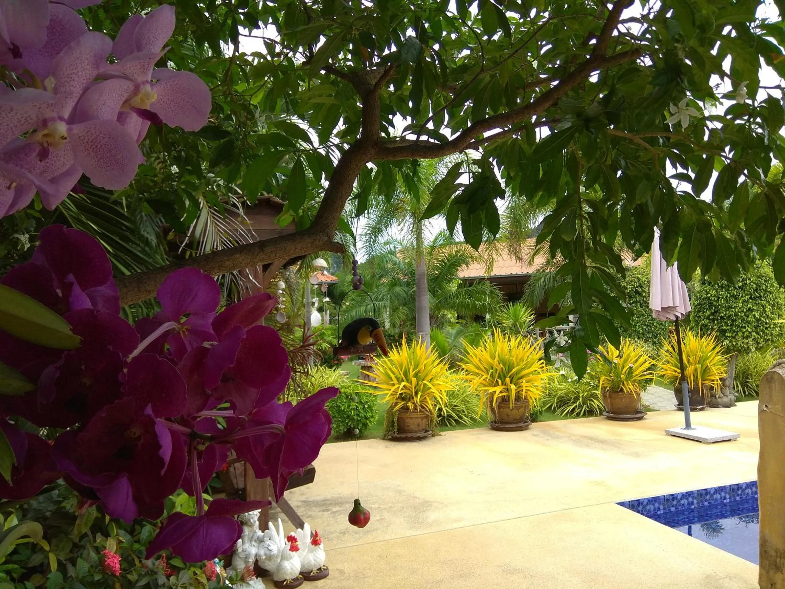 Garden view in Stella Resort