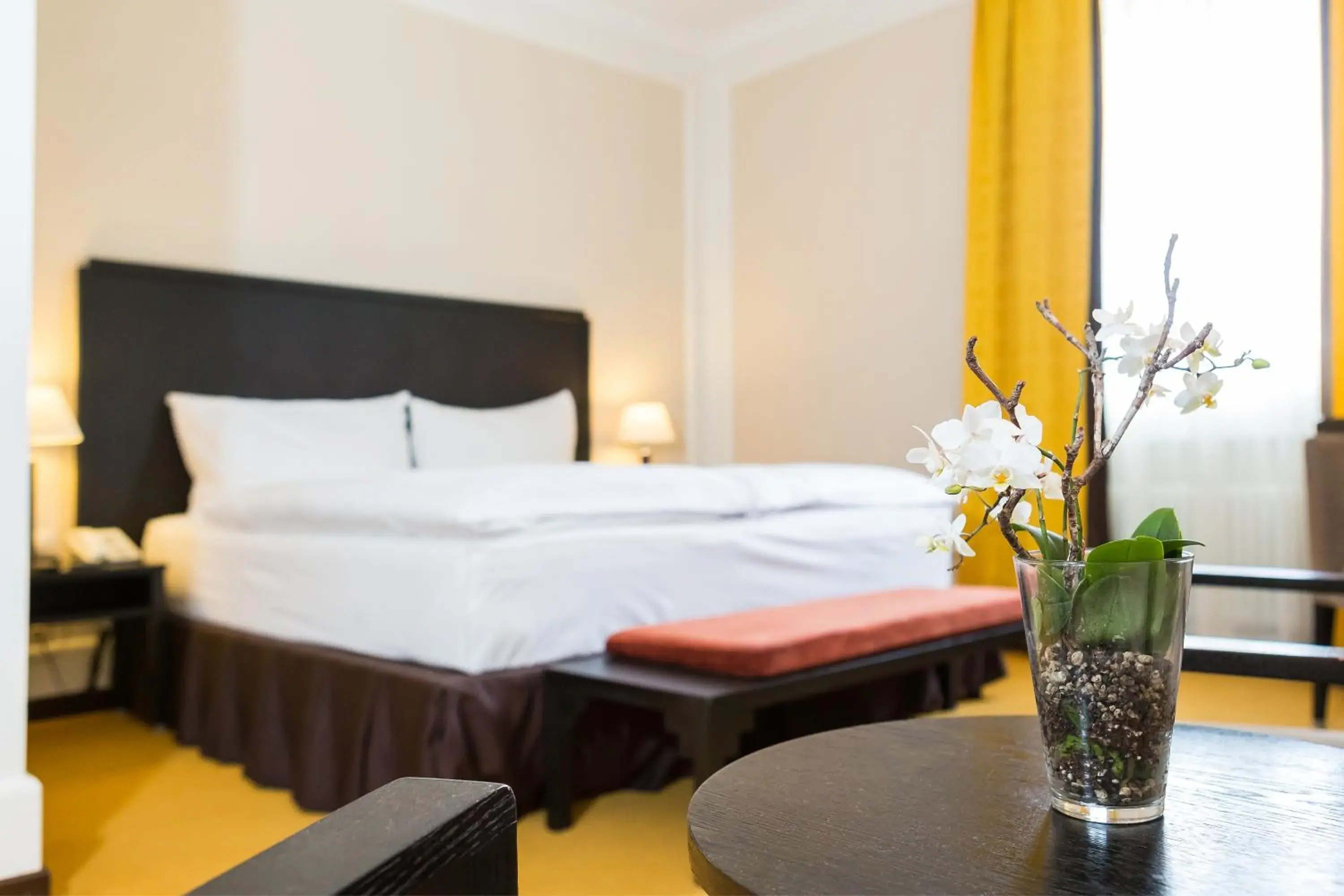 Photo of the whole room, Bed in Hotel Euler Basel Photo of the whole room, Bed in Hotel Euler Basel