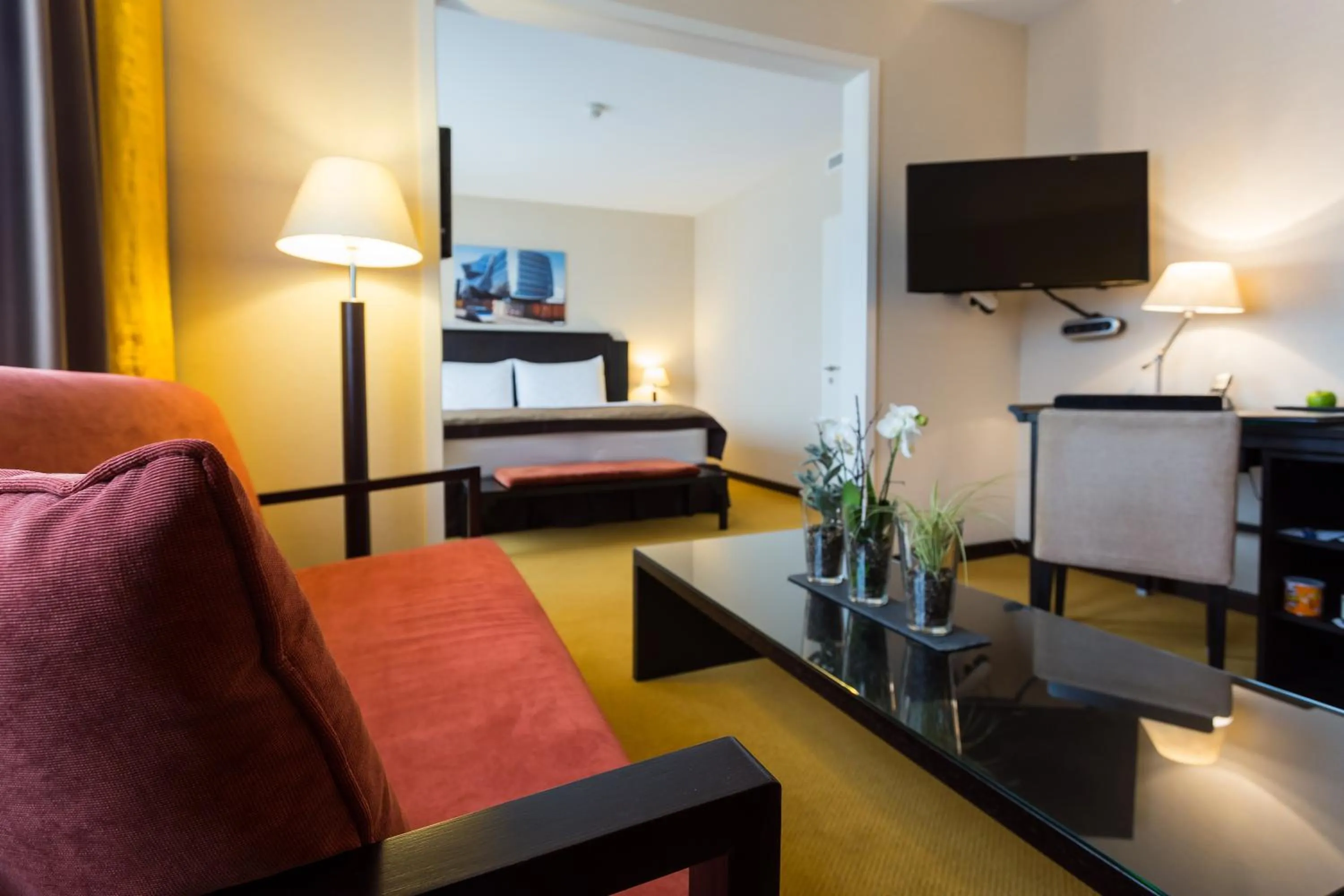 Photo of the whole room in Hotel Euler Basel