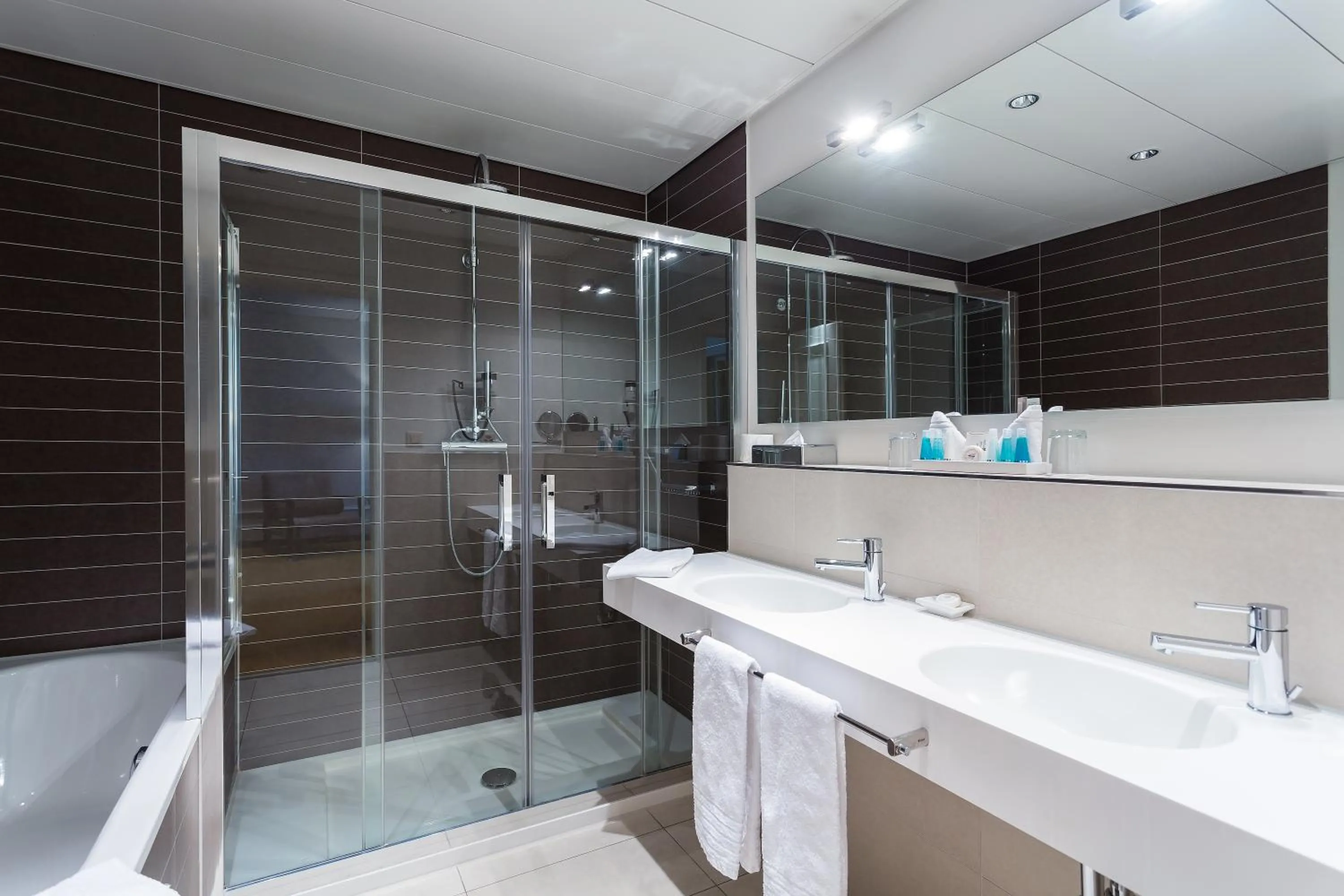 Shower in Hotel Euler Basel