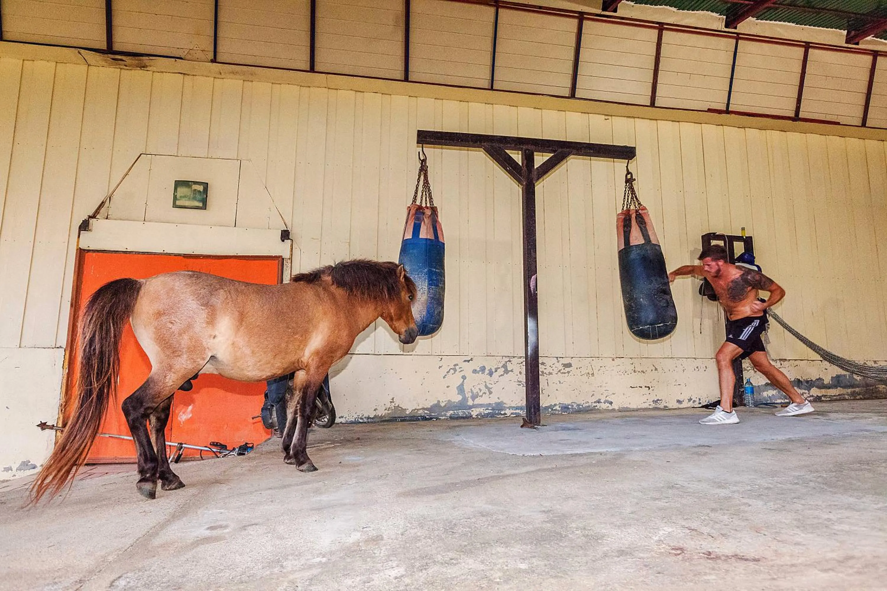 Sports in Phi Phi Chang Grand Resort