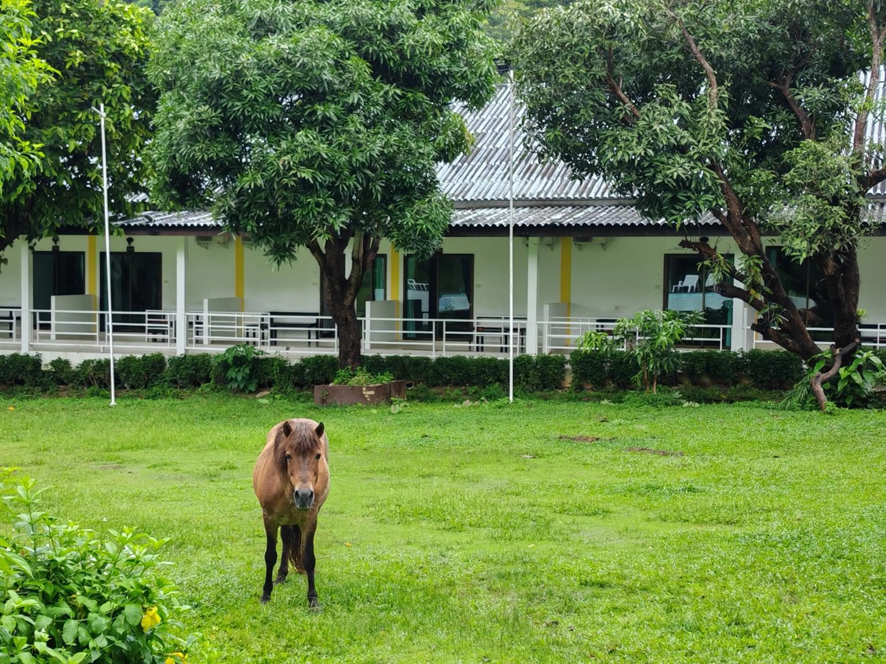 Garden view in Phi Phi Chang Grand Resort