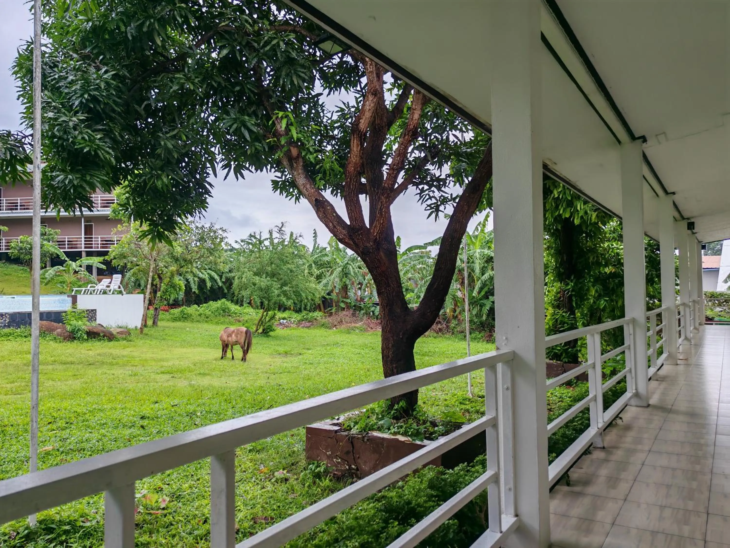 Garden in Phi Phi Chang Grand Resort