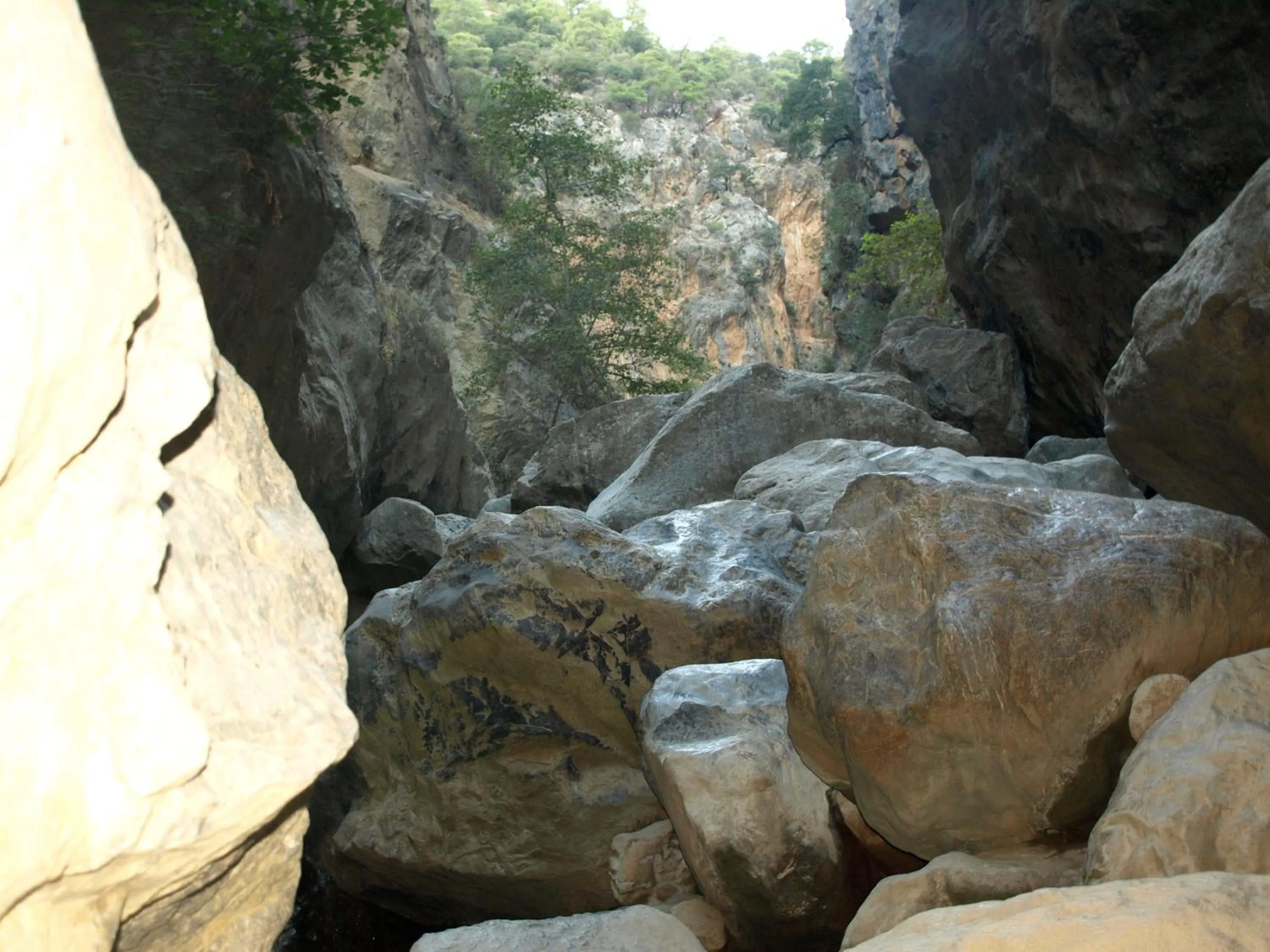 Area and facilities in Sarikampos Beach
