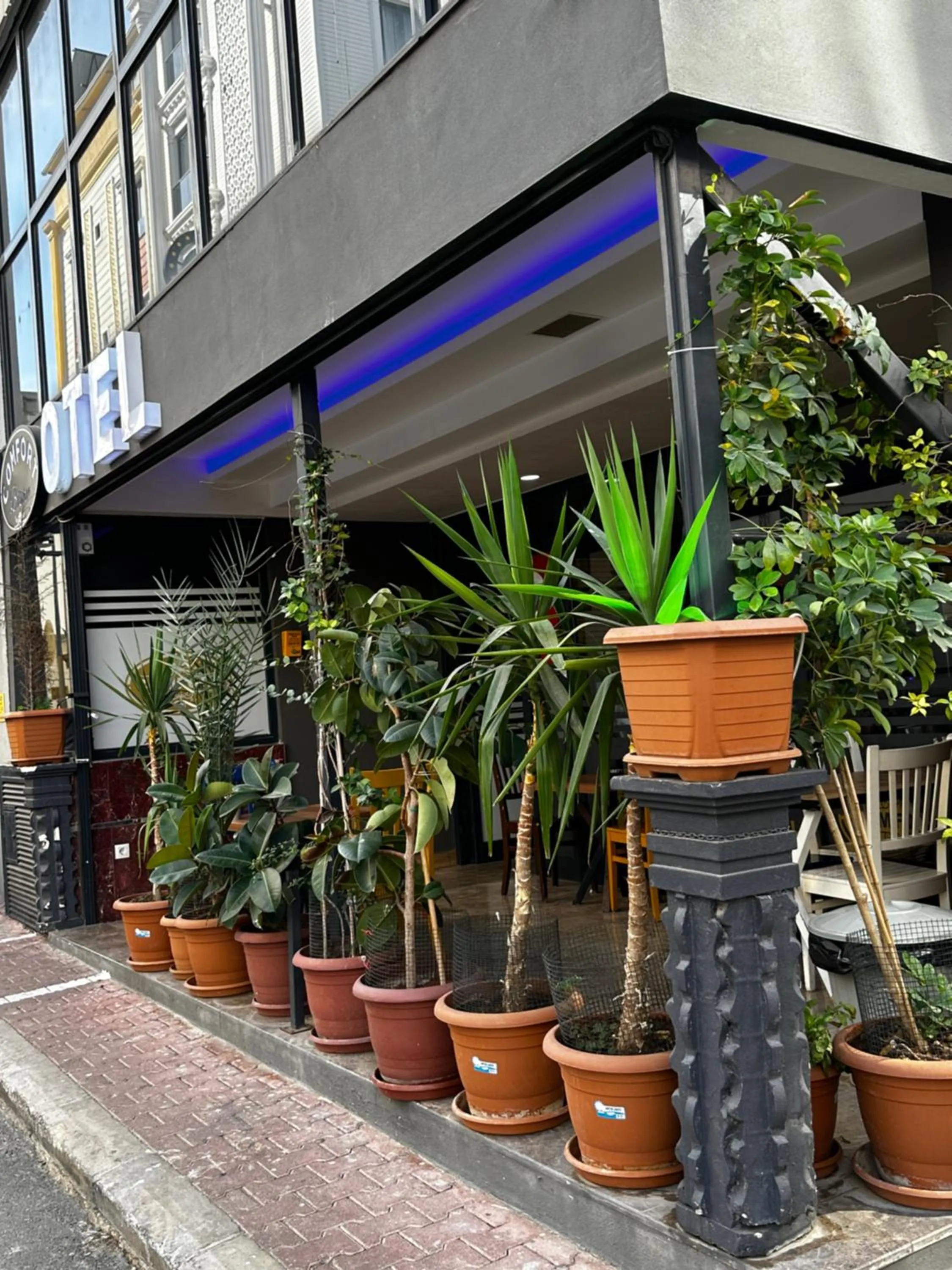 Natural landscape in Comfort Başaran OTEL