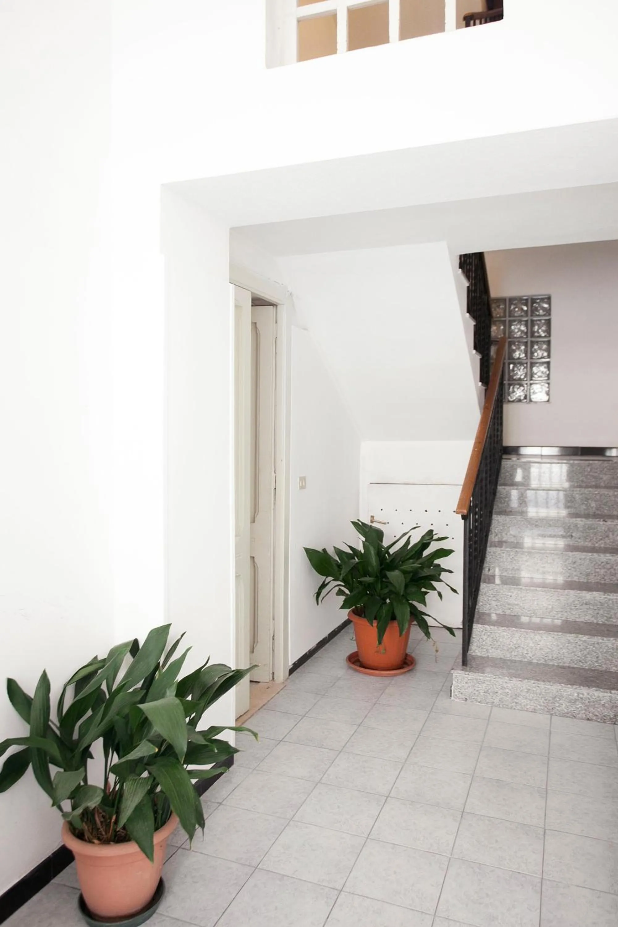 Property building in Davi
