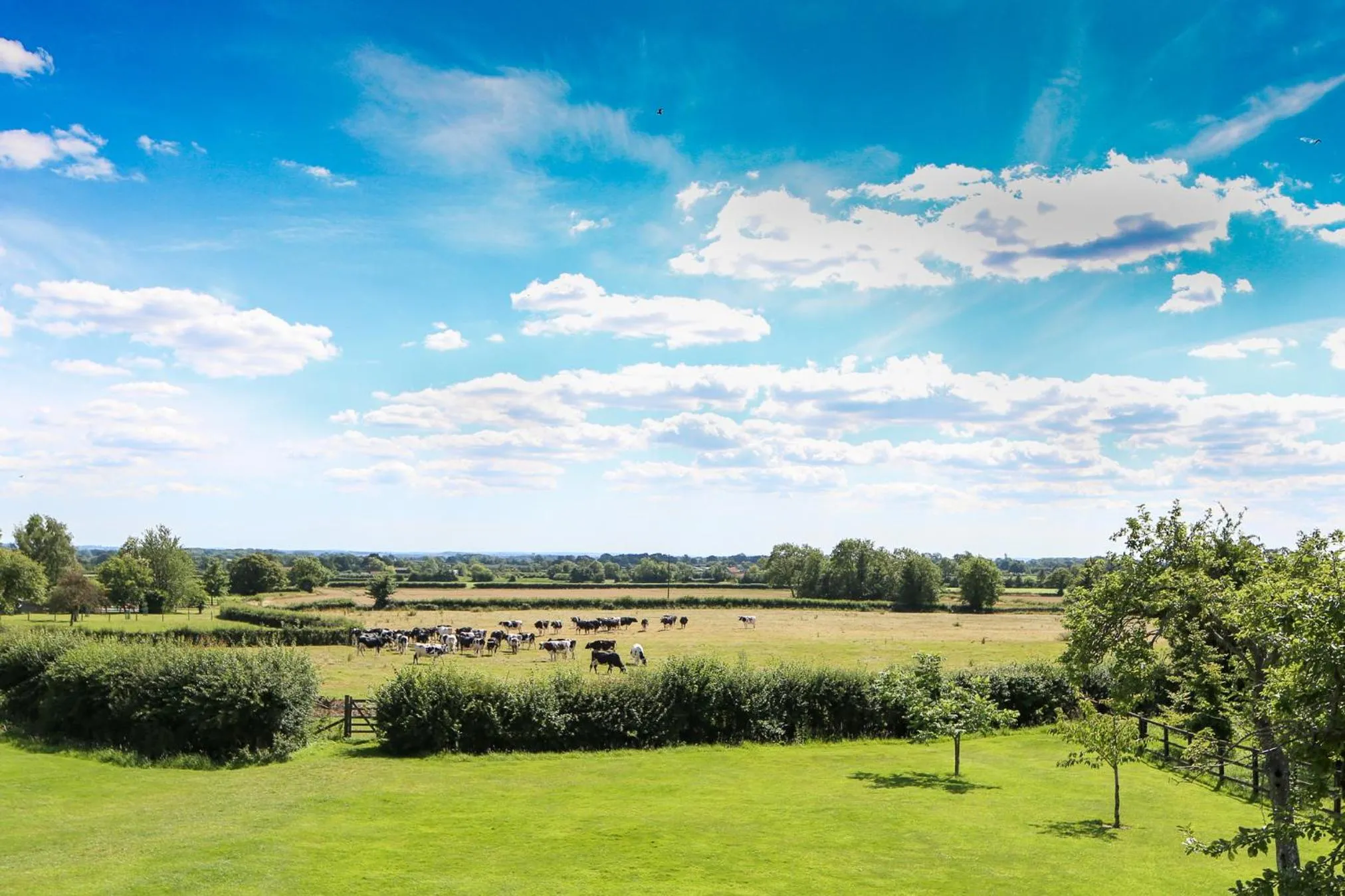 Natural landscape in Yew Tree Cottage
