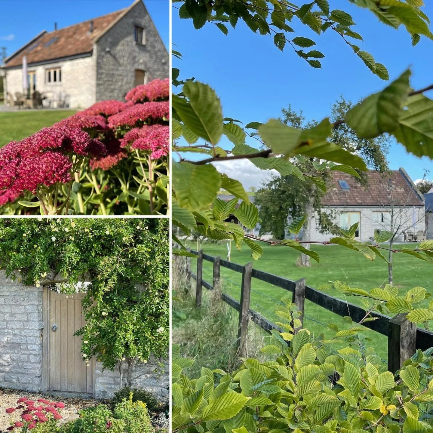 Garden in Yew Tree Cottage