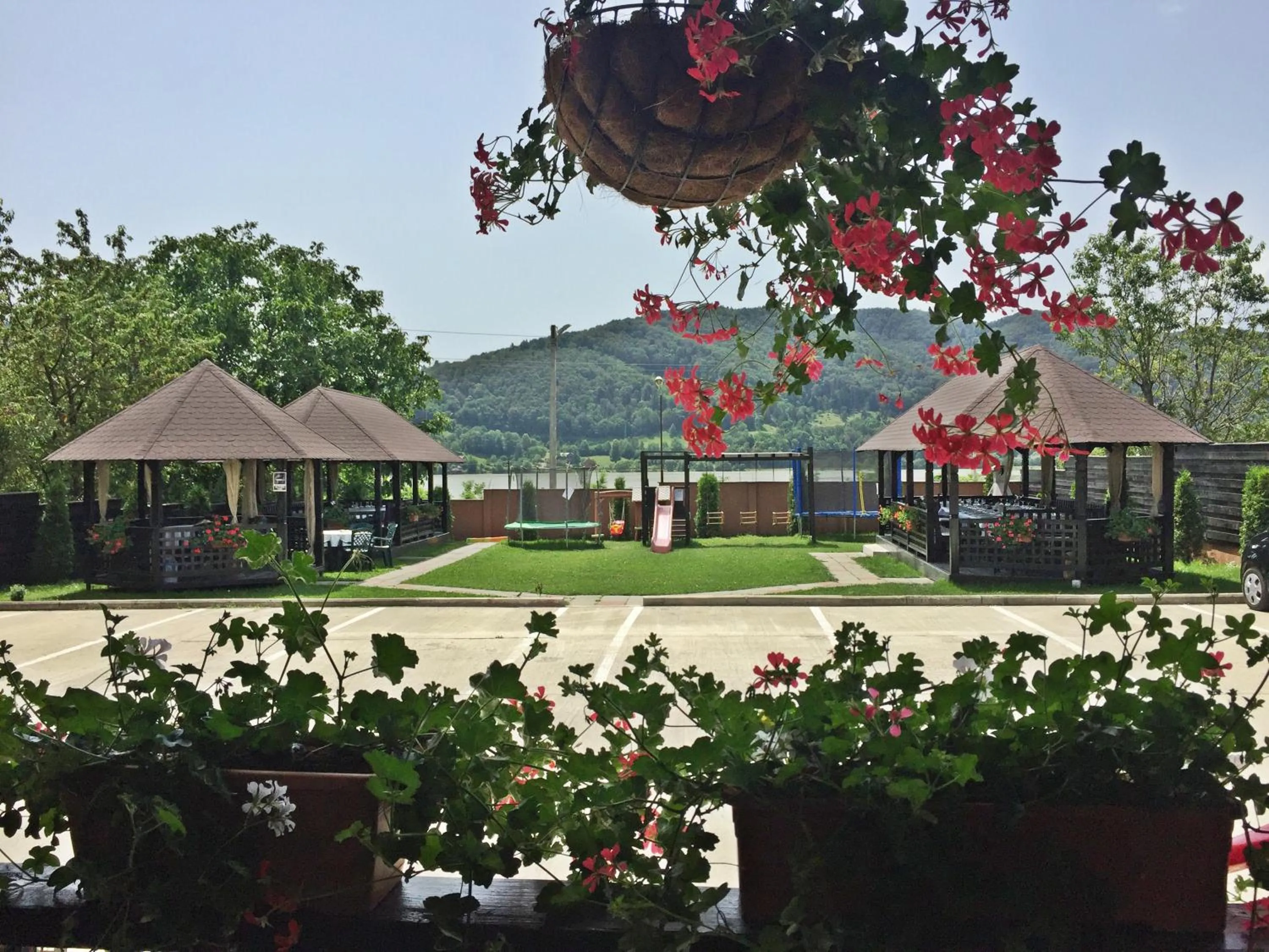 Restaurant/places to eat in Pensiunea Camena