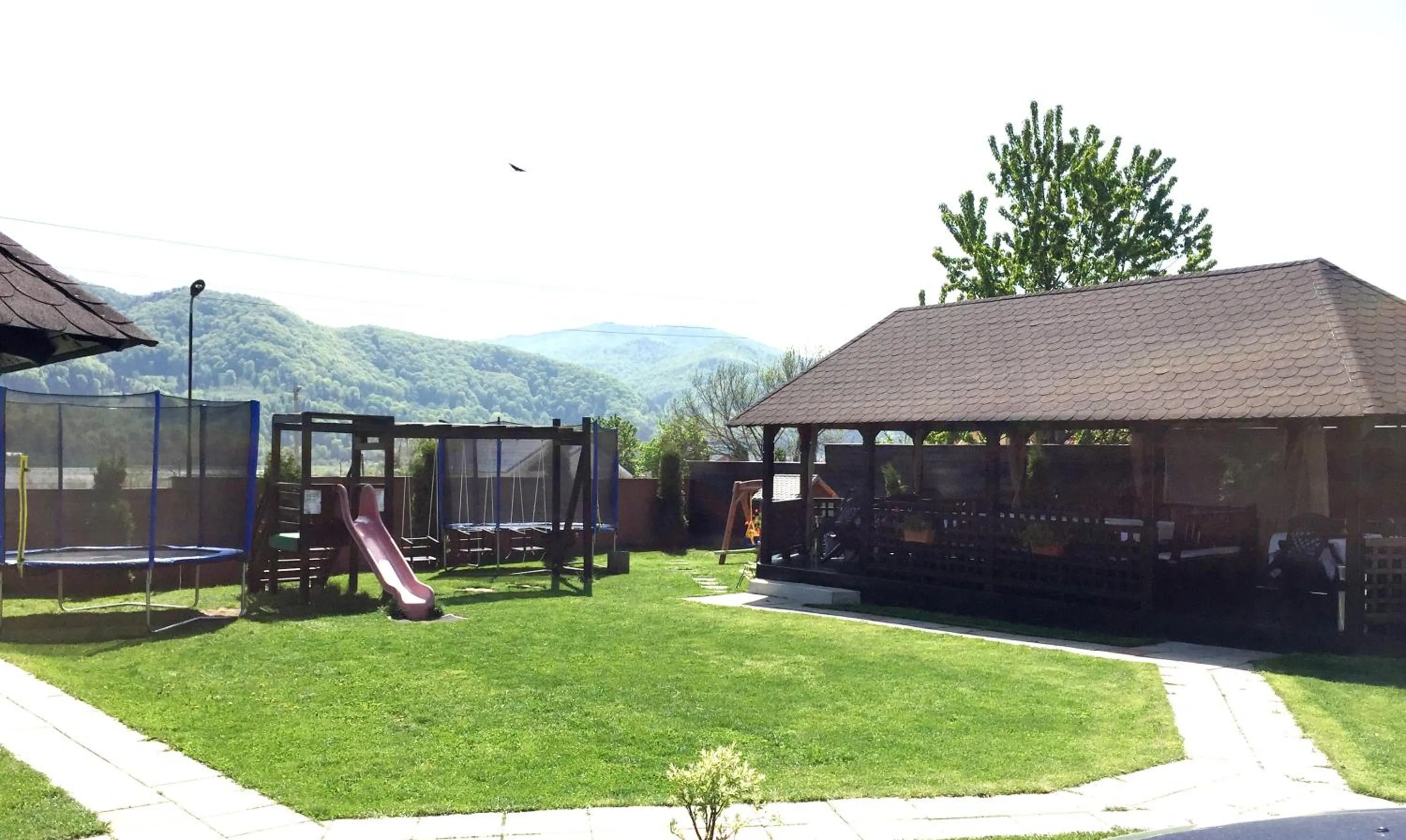 Restaurant/places to eat in Pensiunea Camena