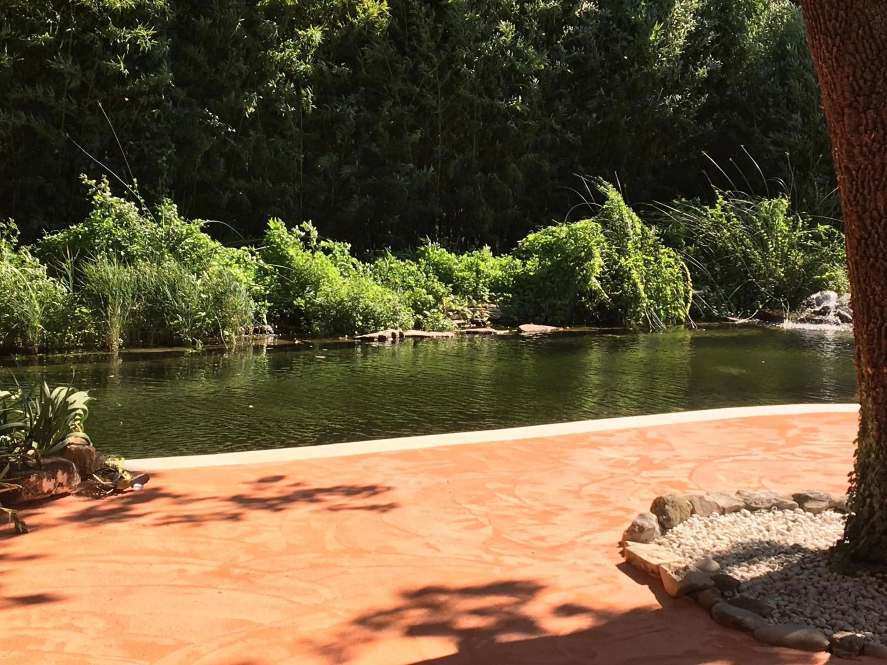 Swimming pool in Désir'ôôm