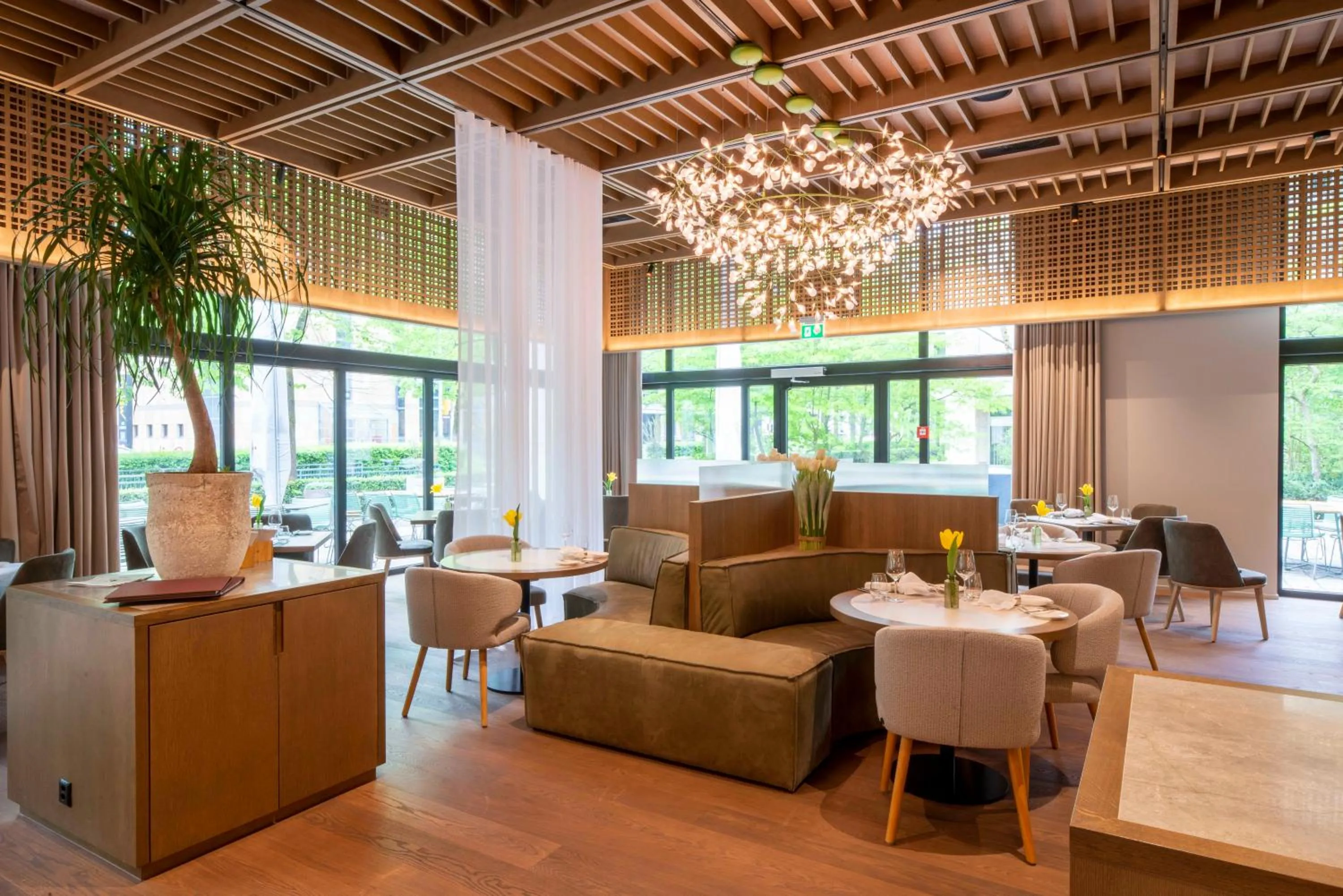 Restaurant/places to eat in Park Hotel Zug
