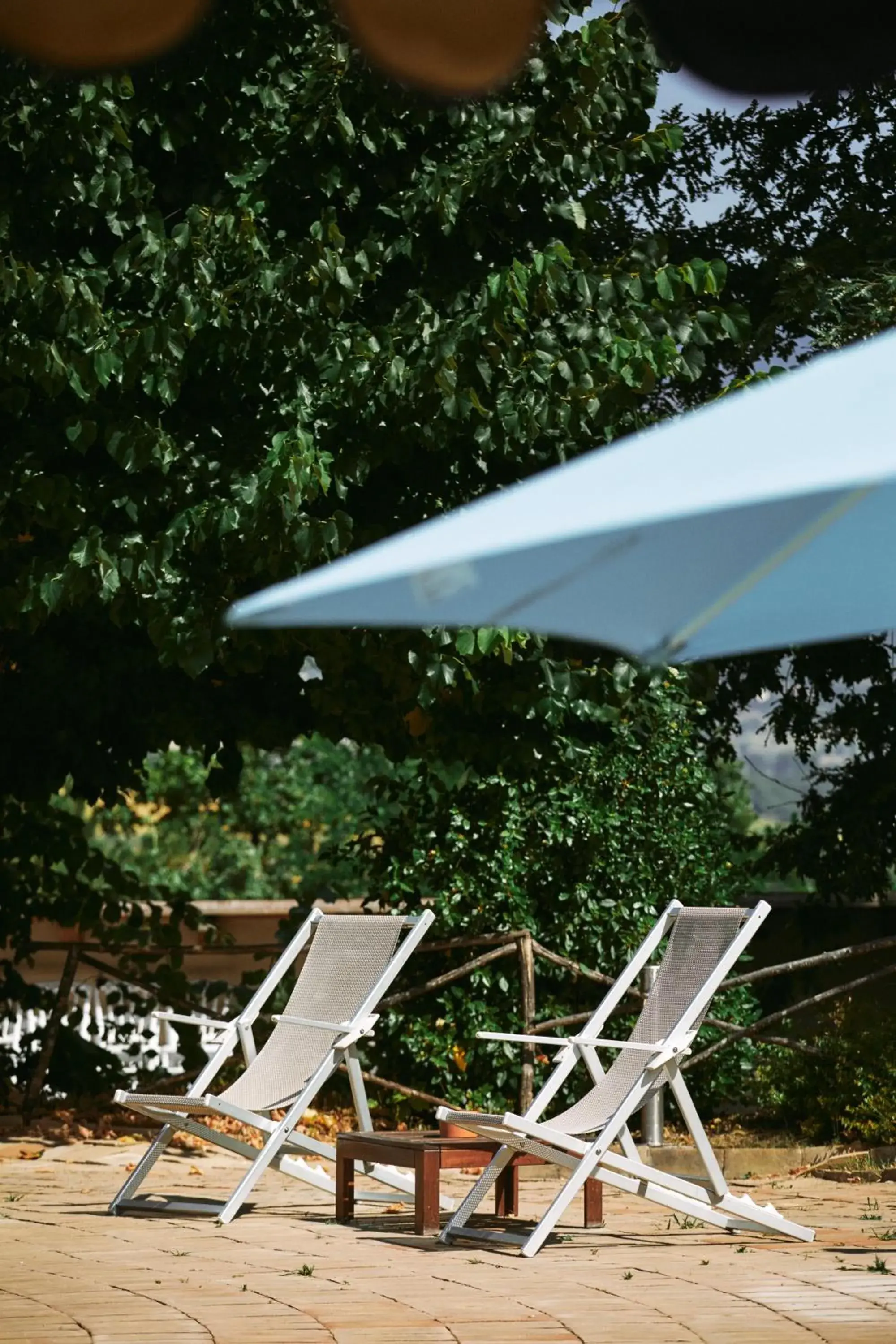 Garden view in Castello di Baccaresca Garden view in Castello di Baccaresca