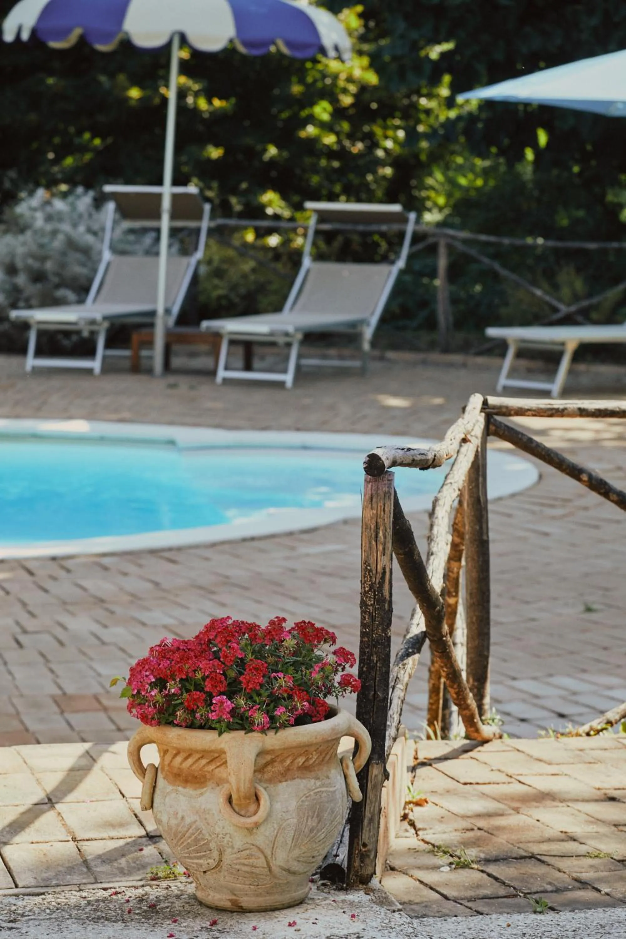 Swimming pool in Castello di Baccaresca