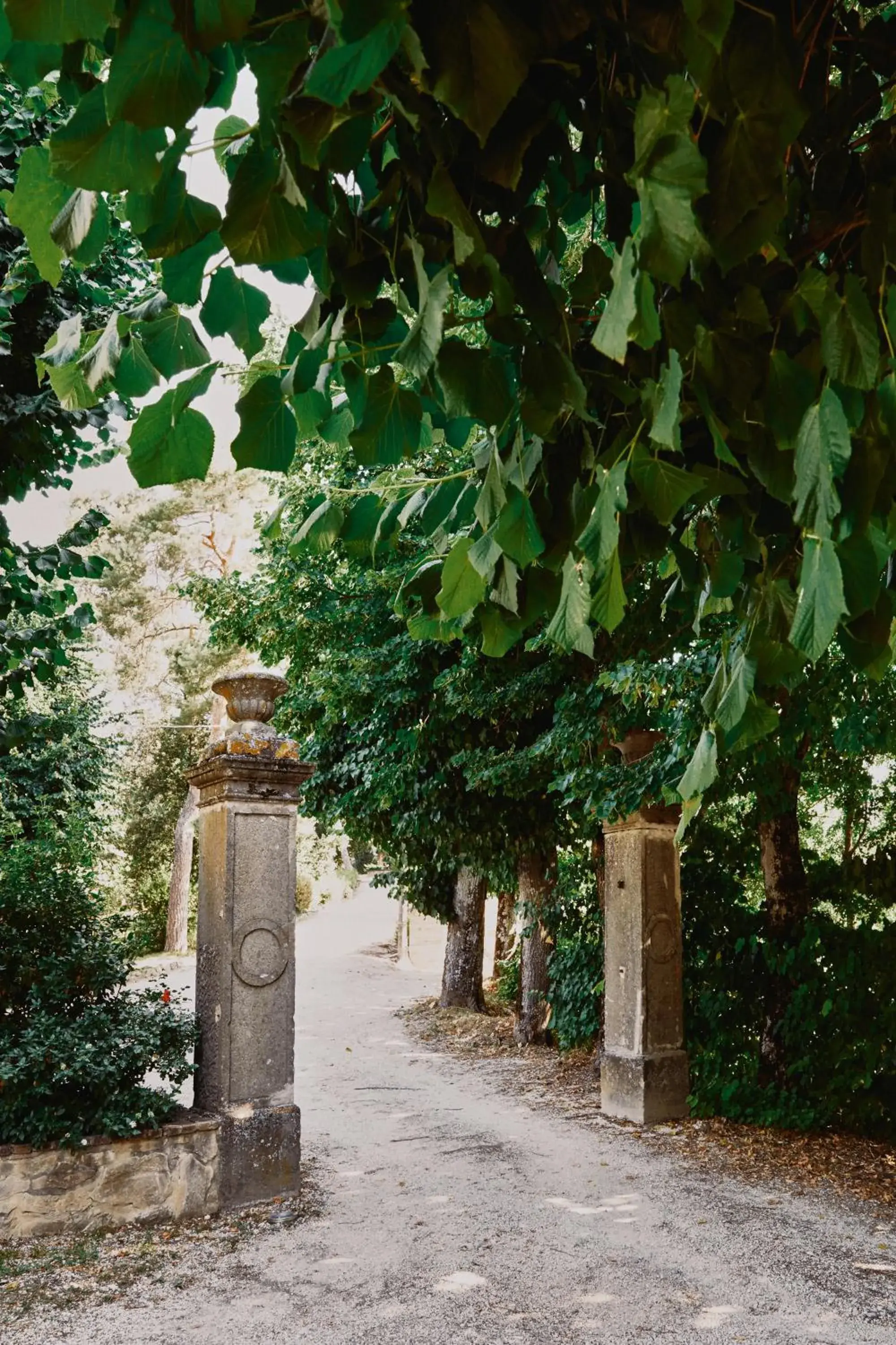 Property building in Castello di Baccaresca Property building in Castello di Baccaresca