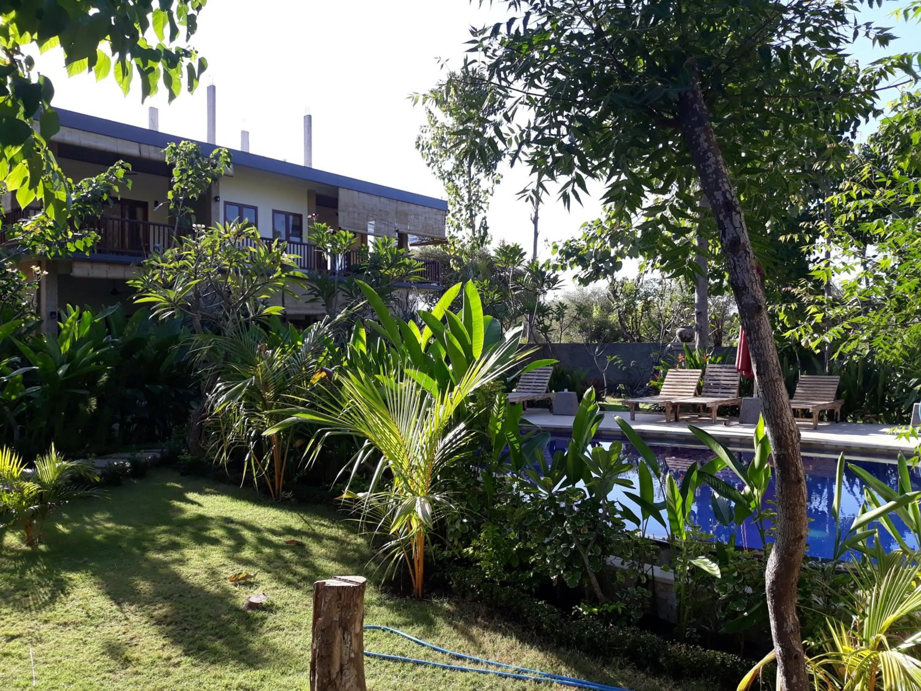 Garden in Jaya Villa