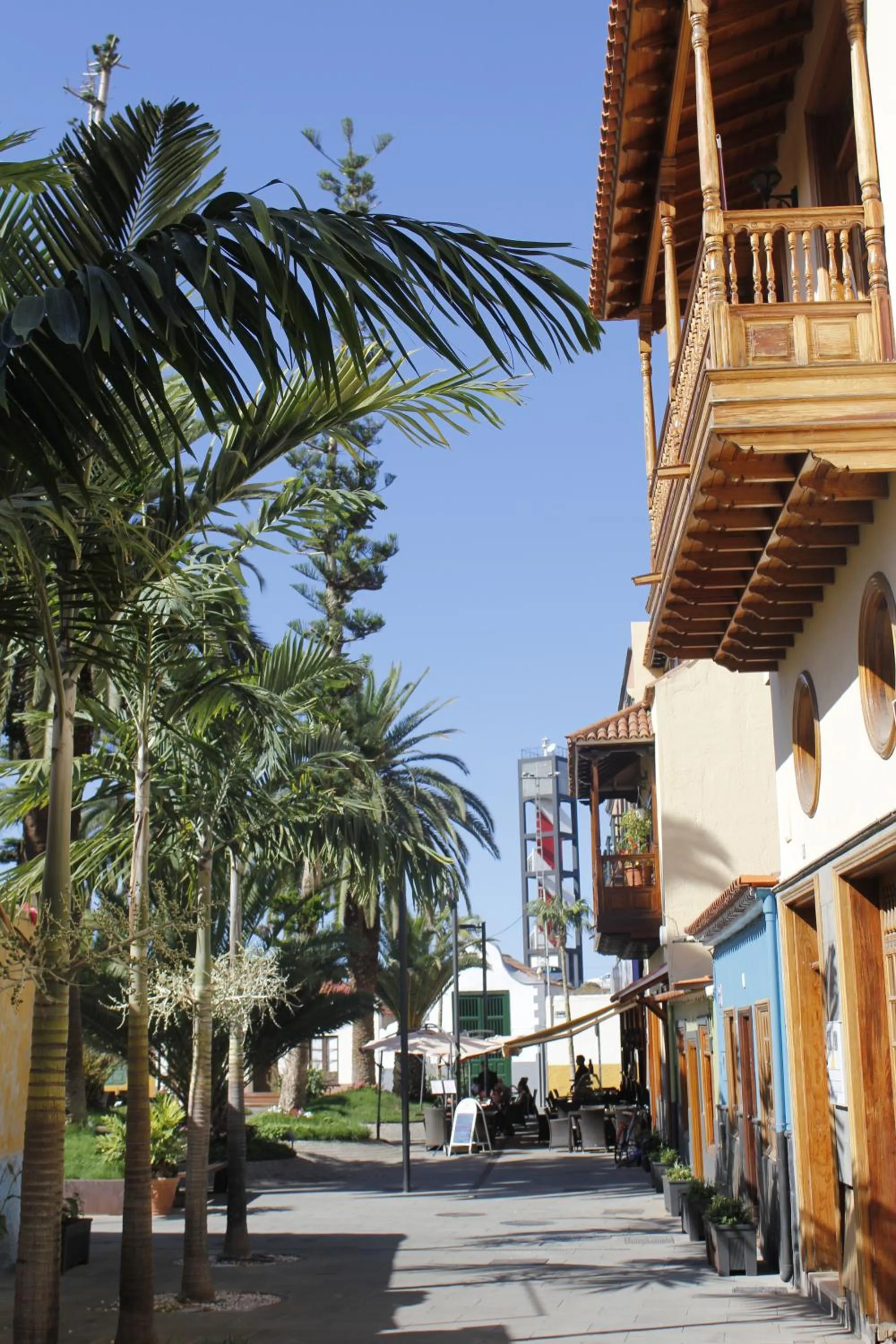 Area and facilities in Hotel Sun Holidays