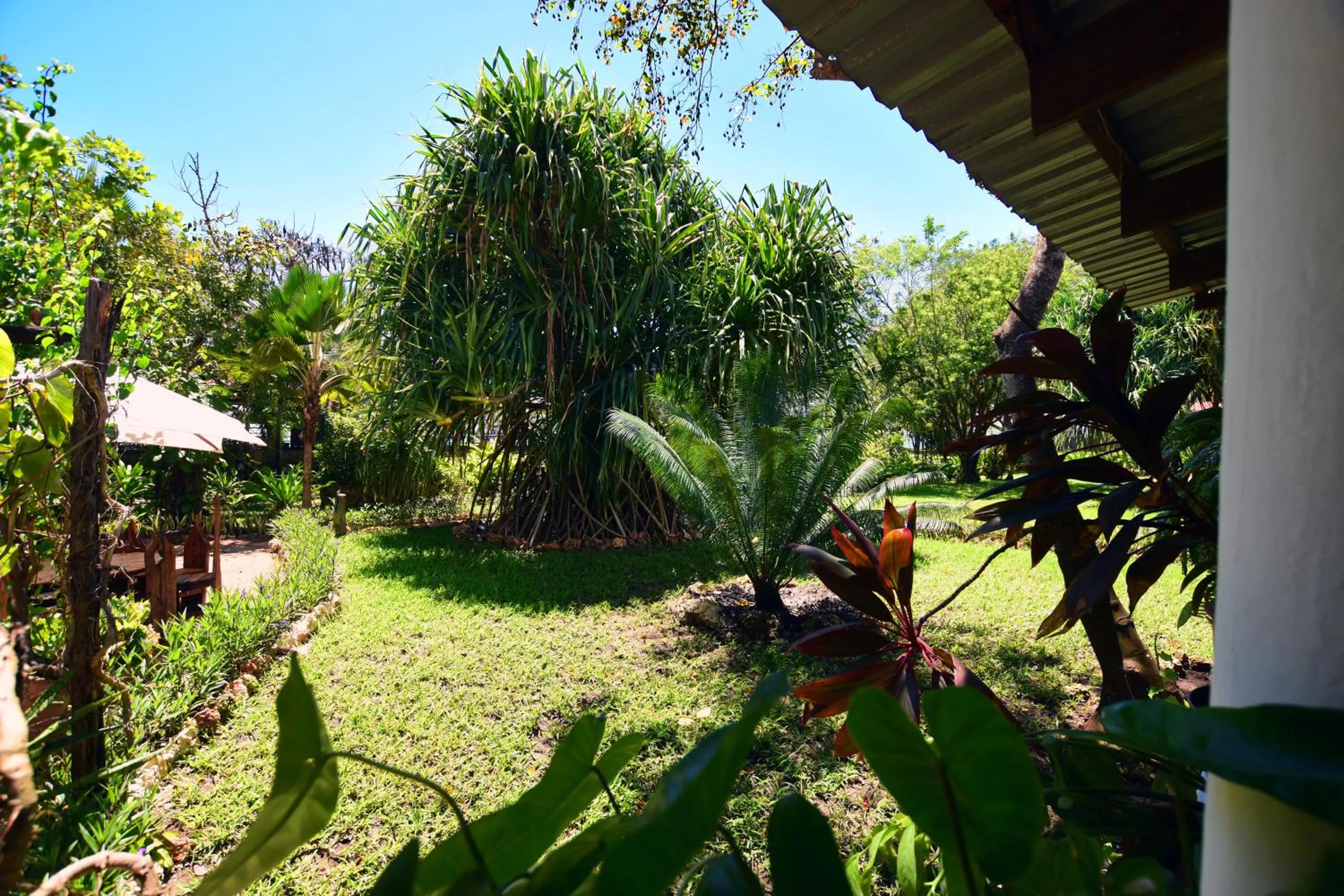 Garden in Mediterraneo Boutique Hotel