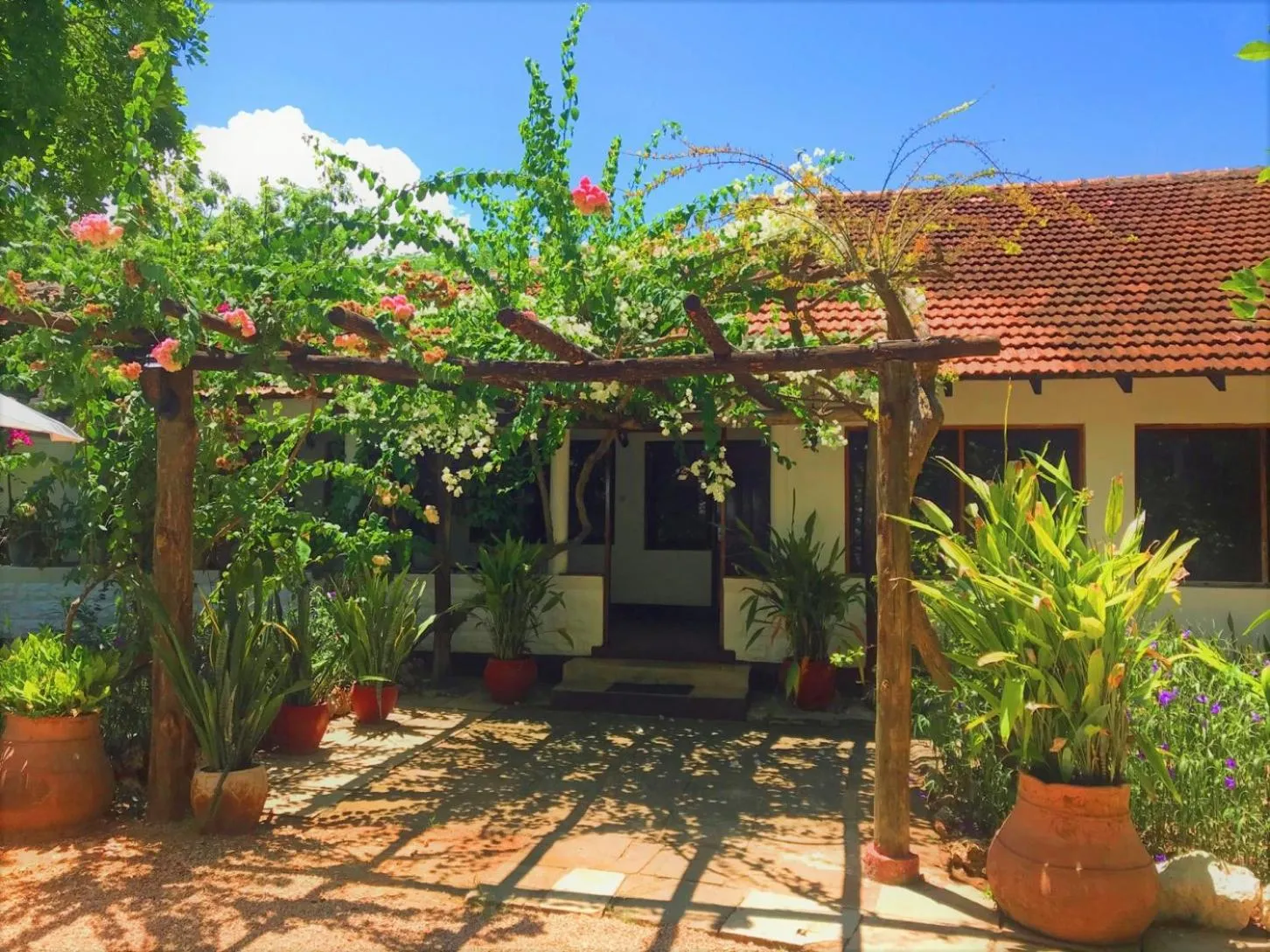 Garden in Mediterraneo Boutique Hotel