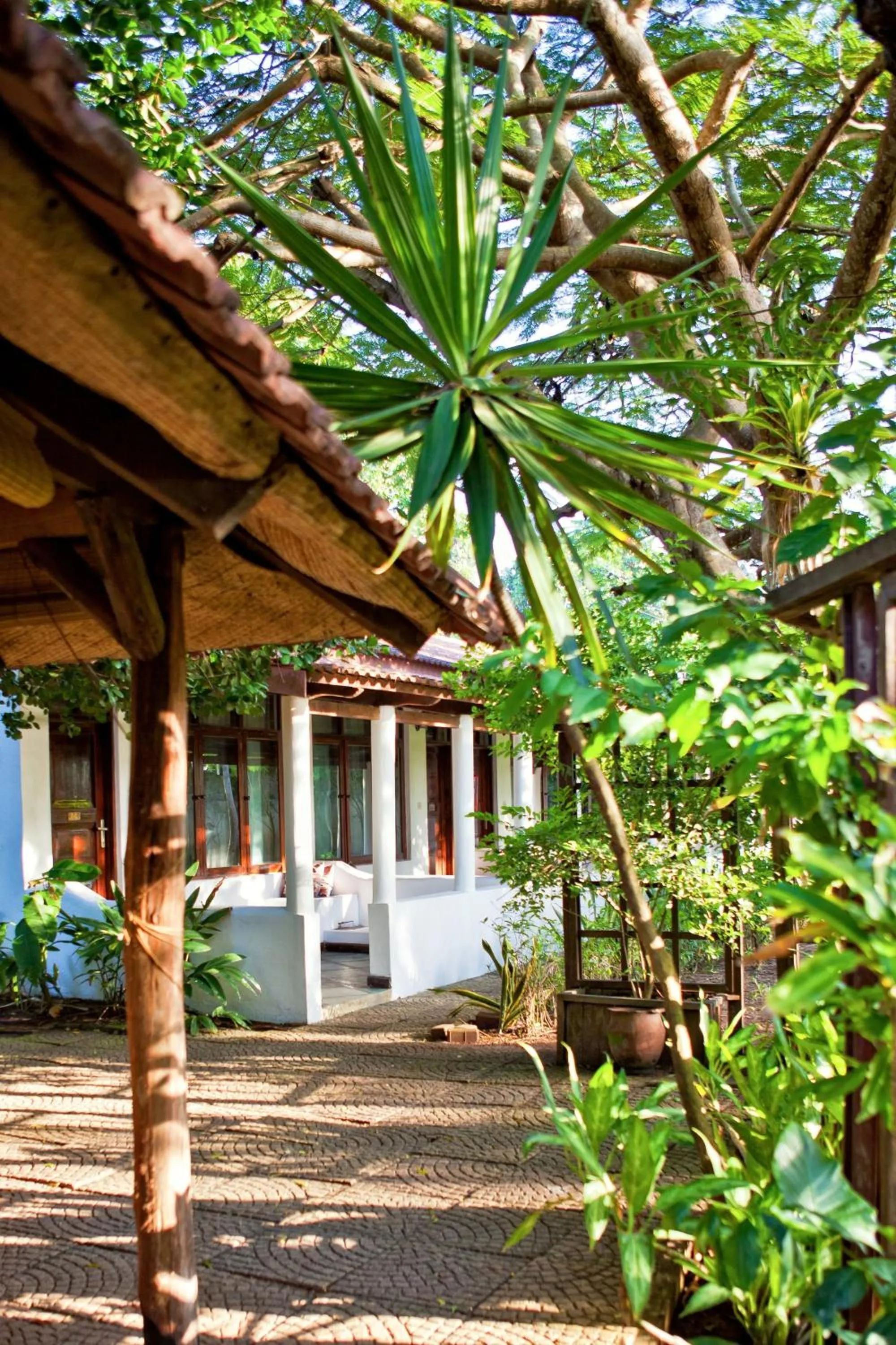 Garden in Mediterraneo Boutique Hotel