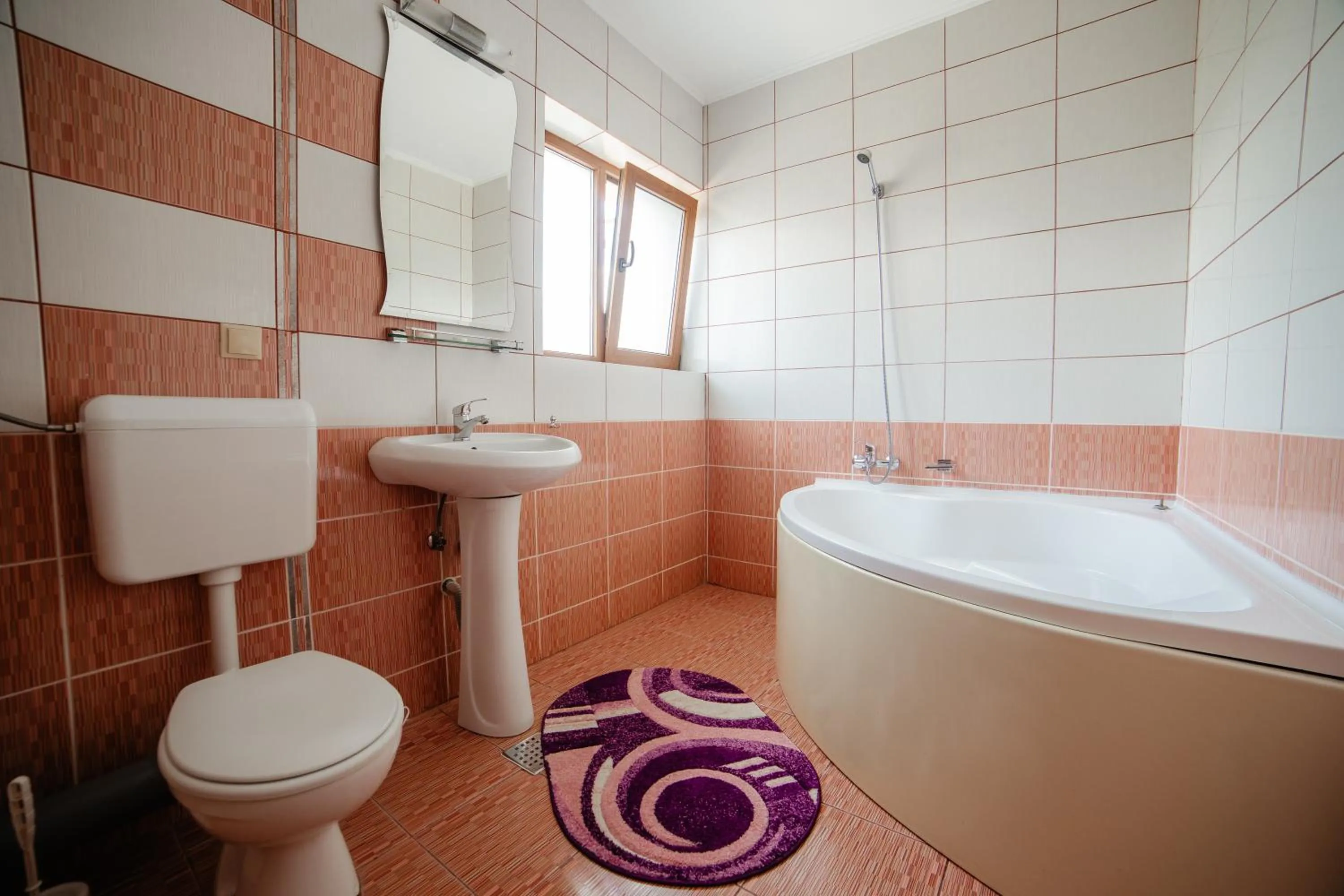 Bathroom in Pensiunea Floare de Colţ