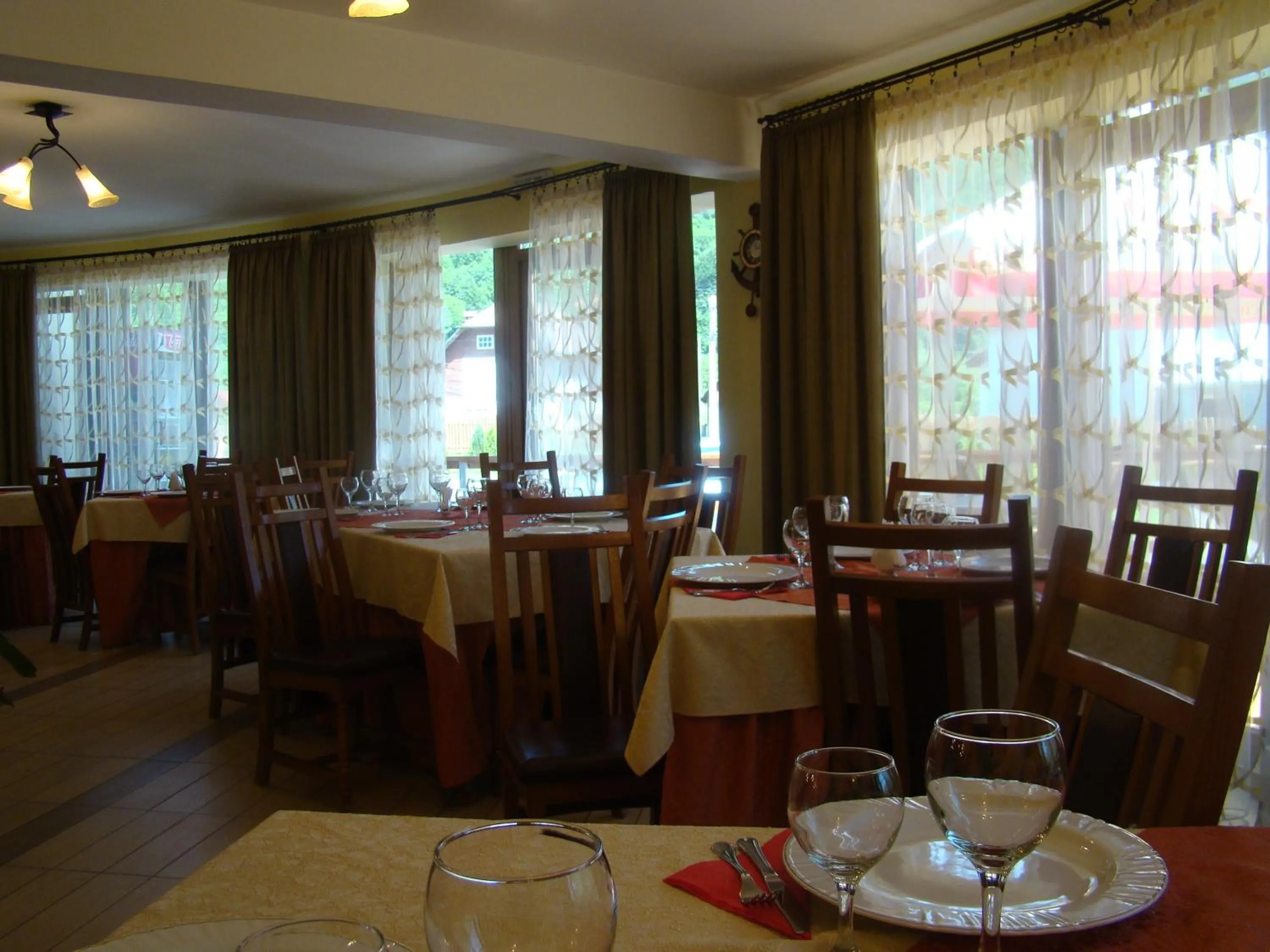 Restaurant/places to eat in Pensiunea Floare de Colţ