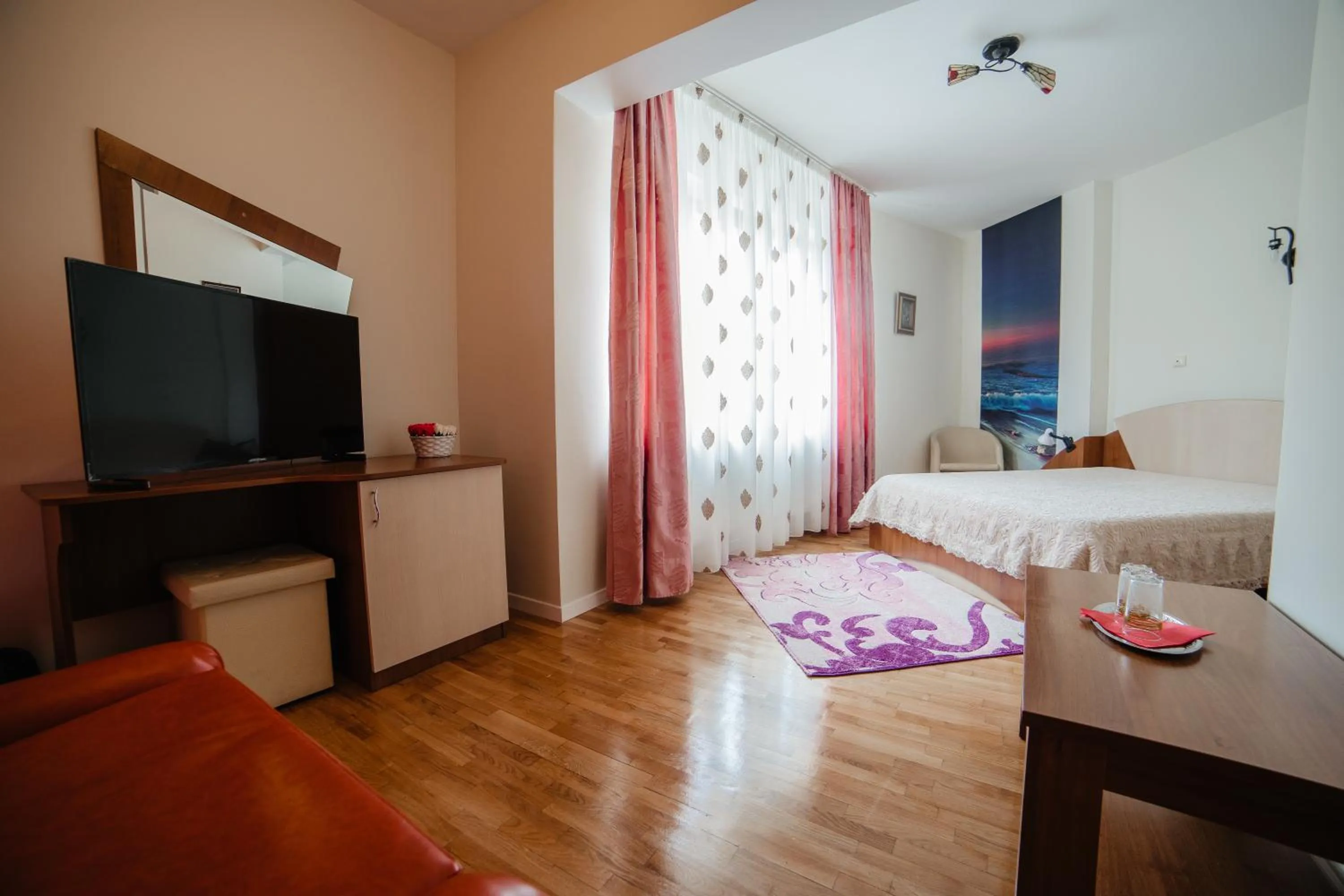 Communal lounge/ TV room in Pensiunea Floare de Colţ