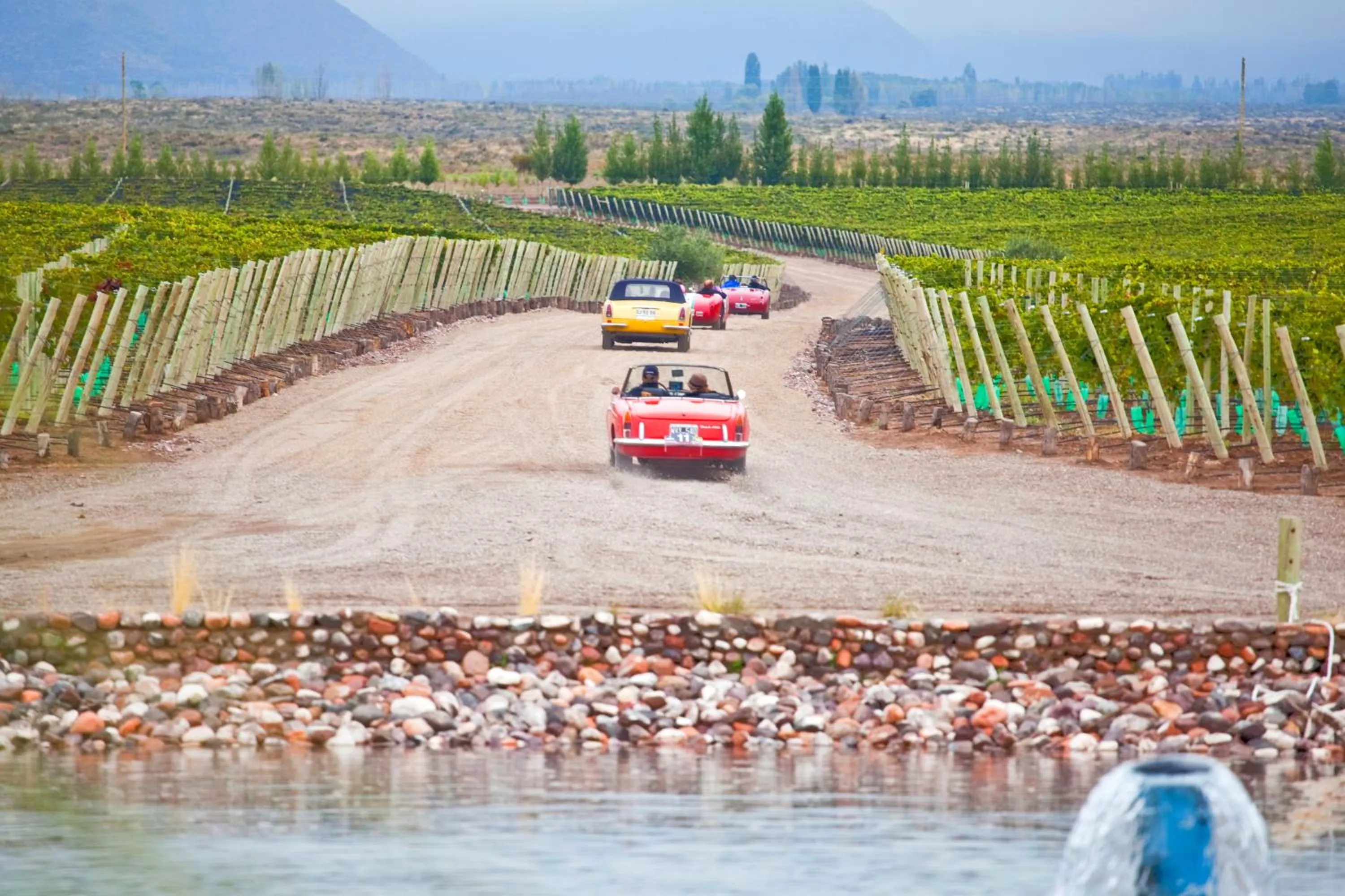 Day in Casa de Uco Vineyards and Wine Resort